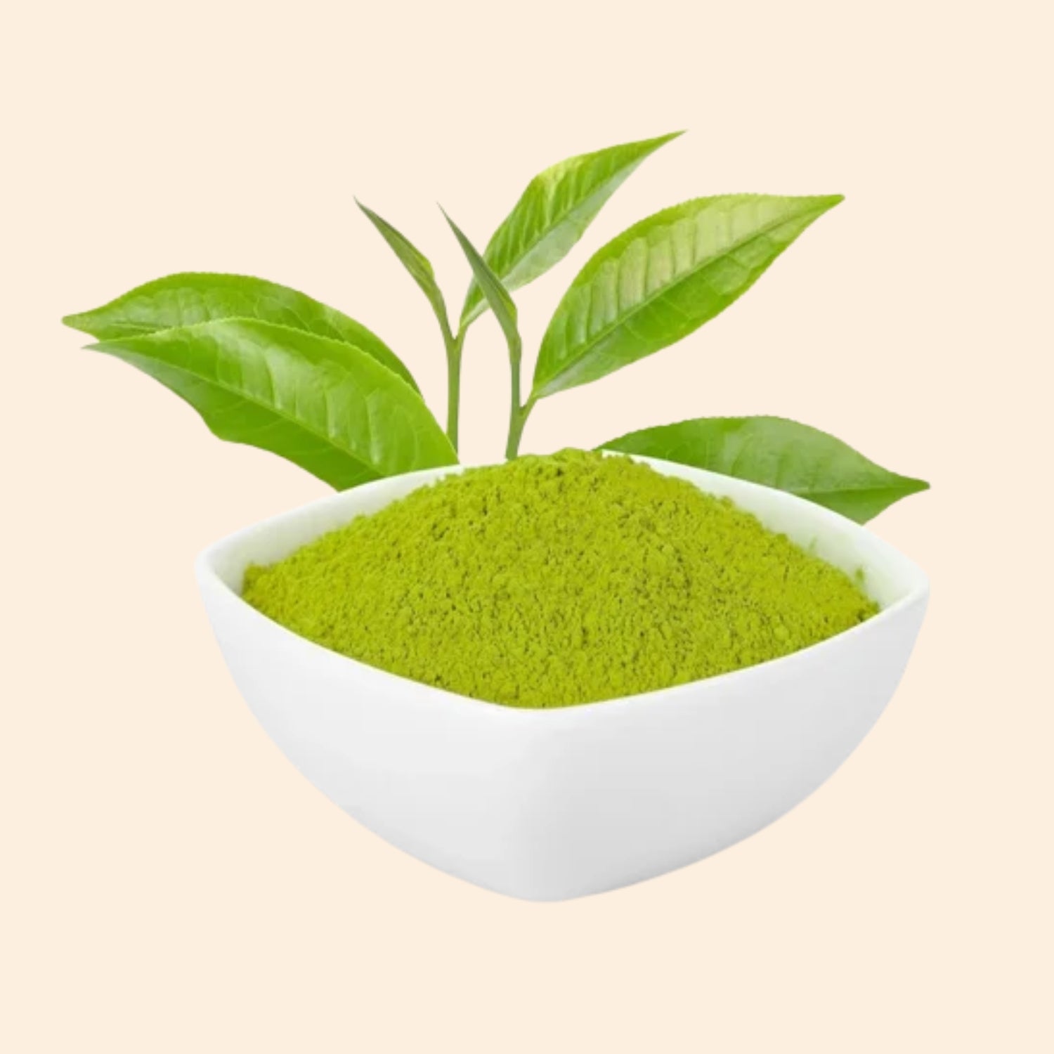 Shoprythm Dry Extracts Green Tea Dry Extract