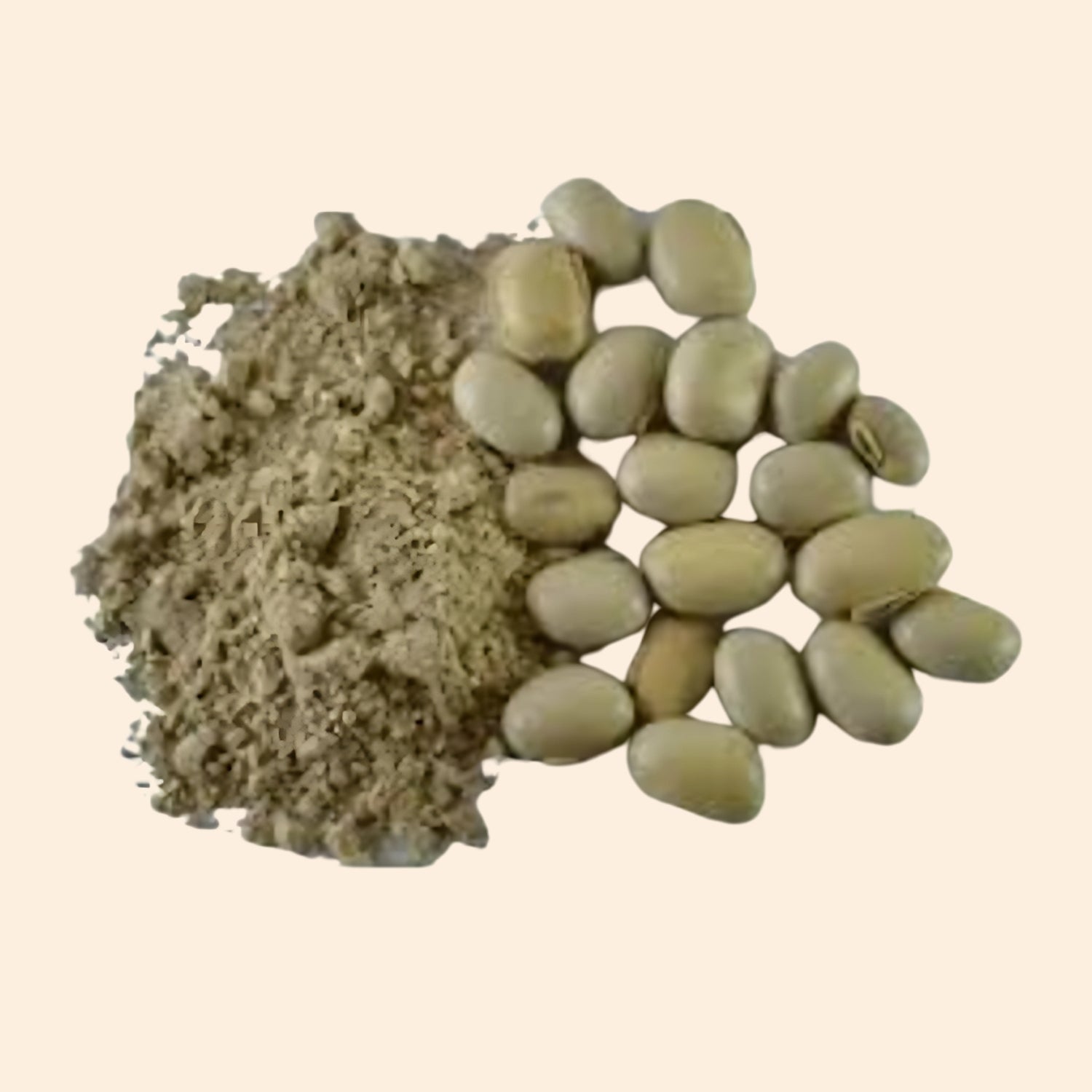 Shoprythm Dry Extracts Kawach Beej Dry Extract