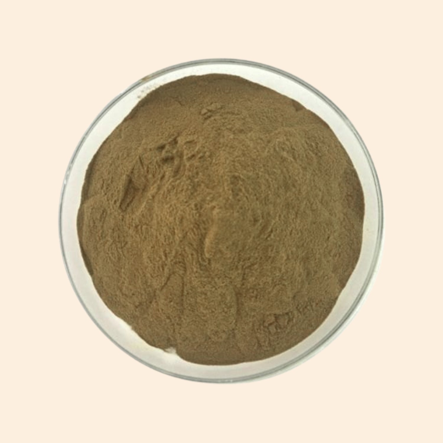 Shoprythm Dry Extracts Khurasani Ajmo Dry Extract