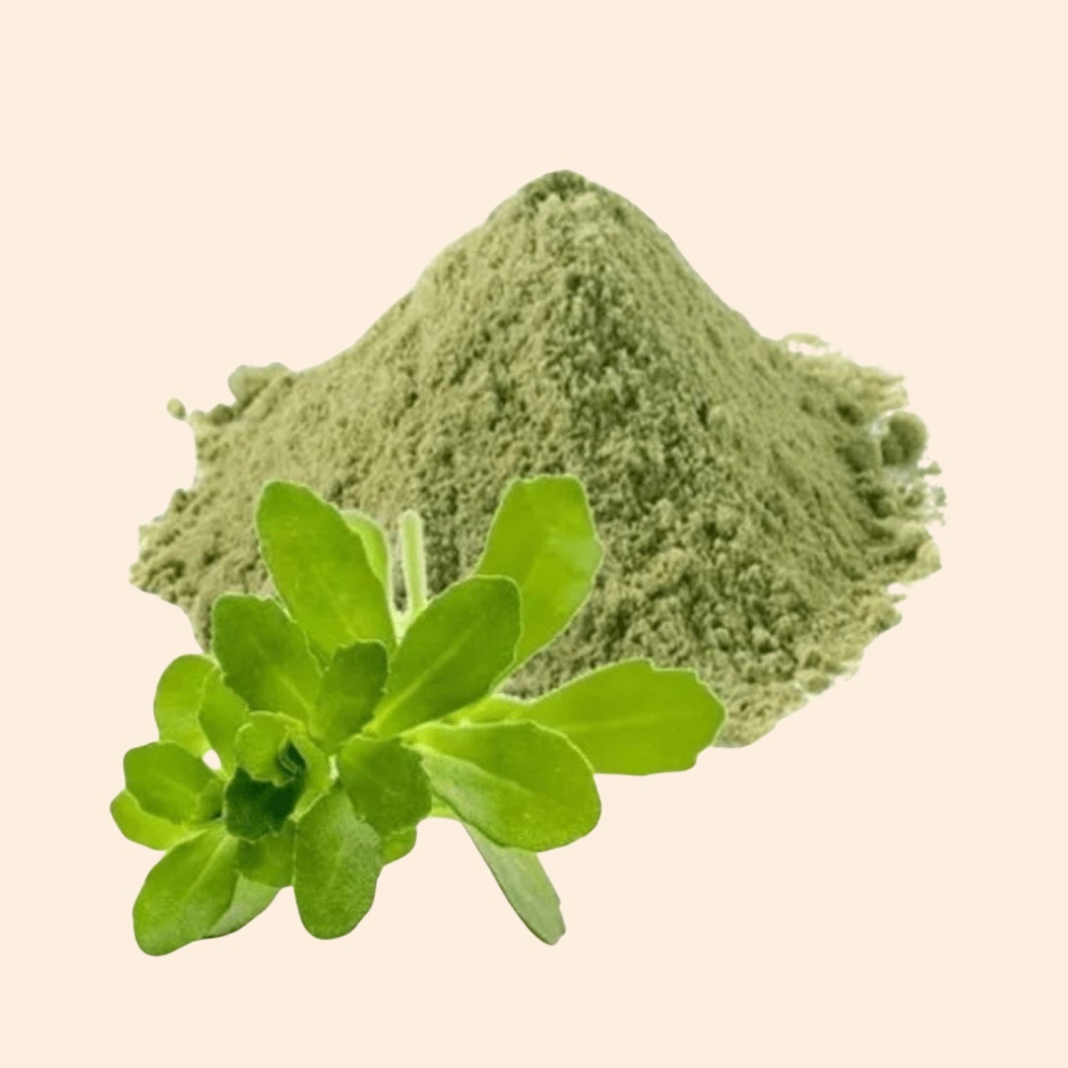 Shoprythm Dry Extracts Nir Brahmi Dry Extract