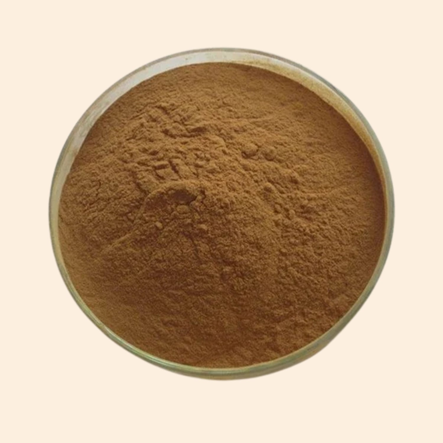 Shoprythm Dry Extracts Palas Papda Dry Extract