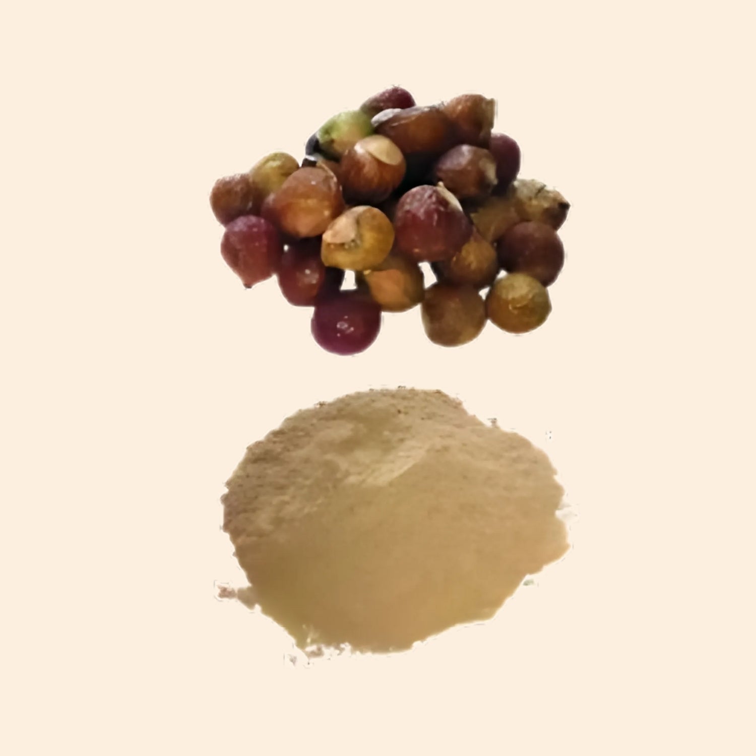 Shoprythm Dry Extracts Ritha Dry Extract