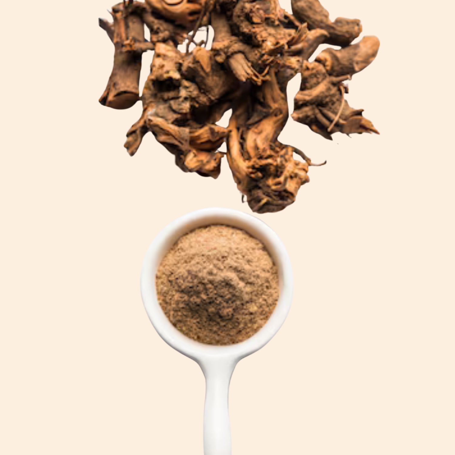 Shoprythm Dry Extracts Vacha Dry Extract