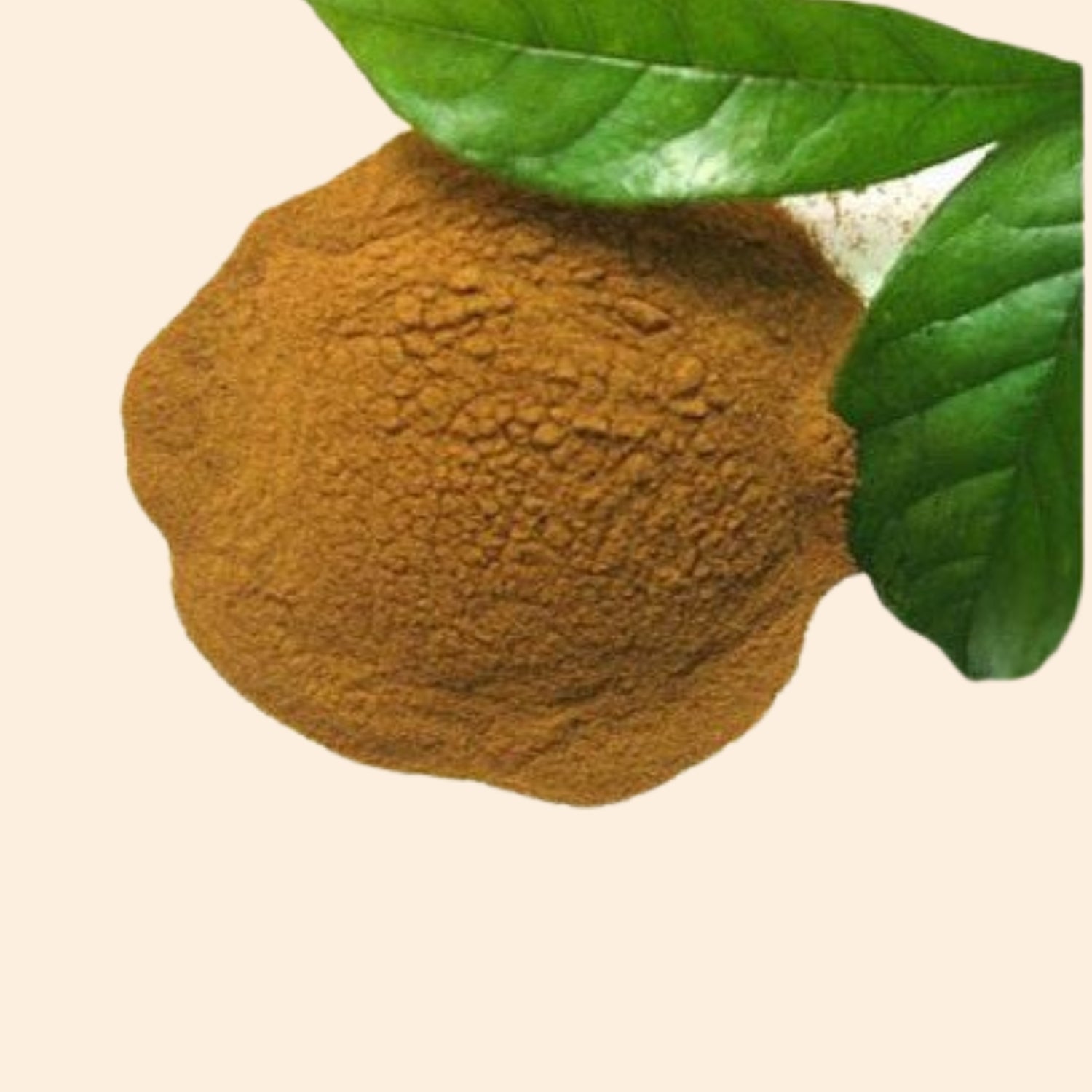 Shoprythm Dry Extracts Vasaka Dry Extract