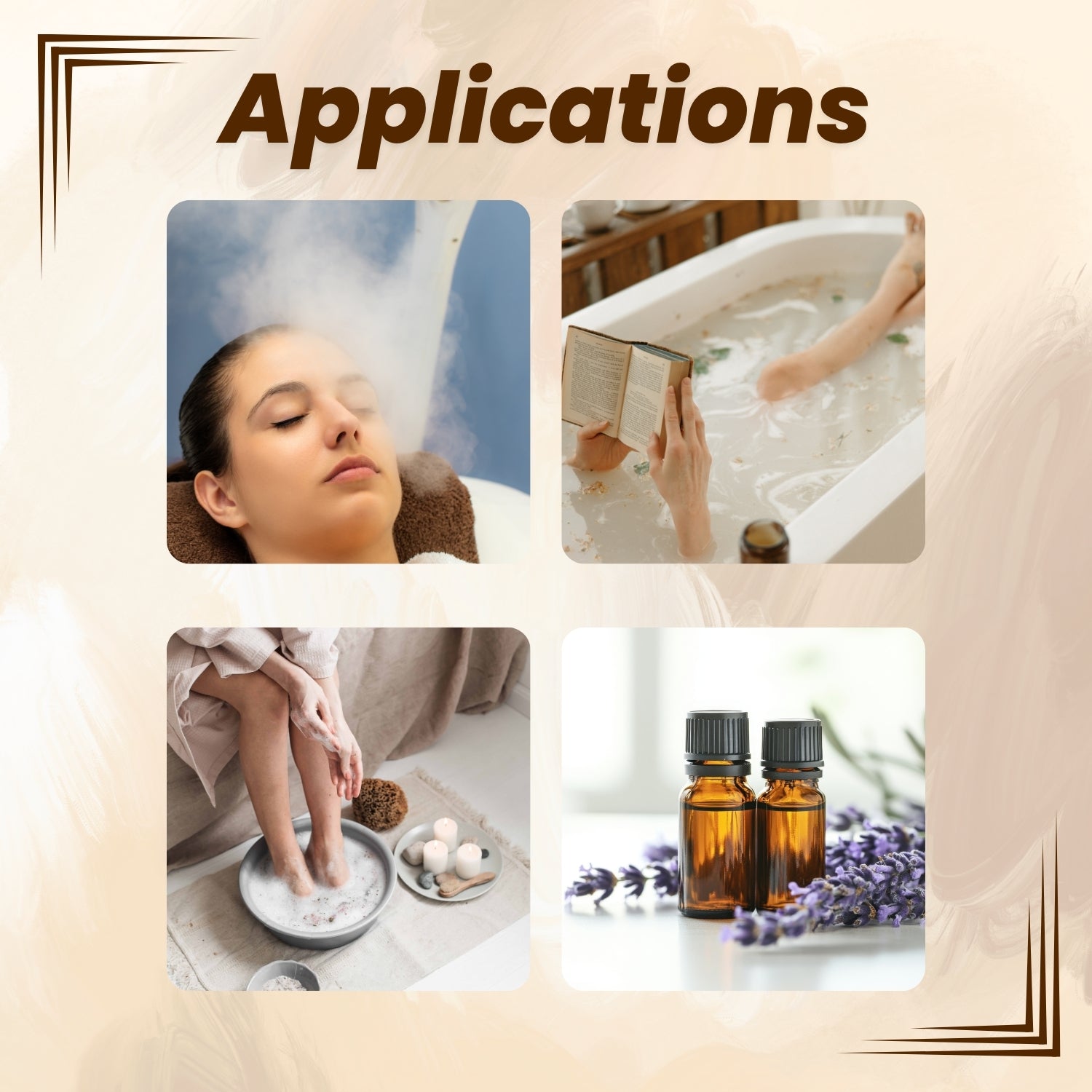 Shoprythm Dry Flower's Chamomile Dry Flower