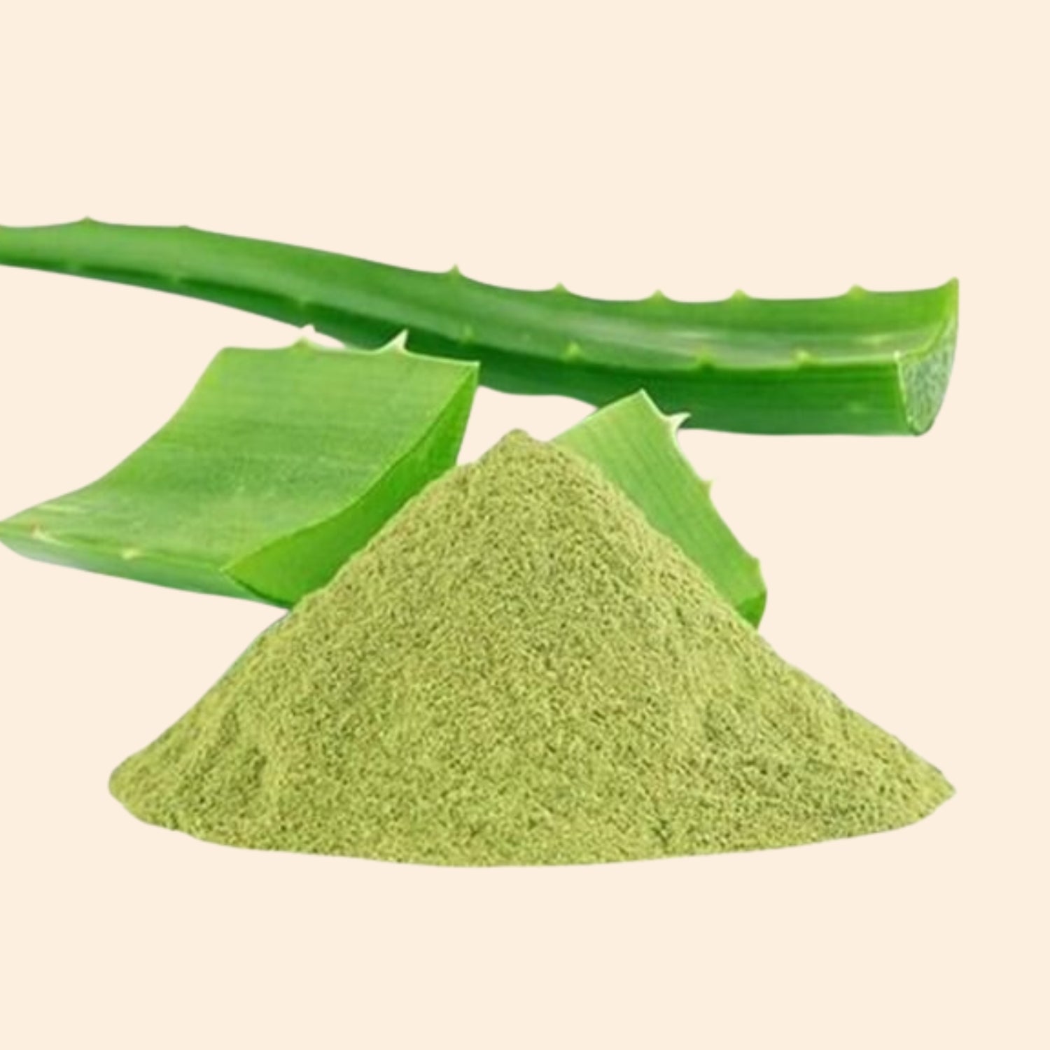 Shoprythm Fruit & Vegetable Powders Aloe vera Powder