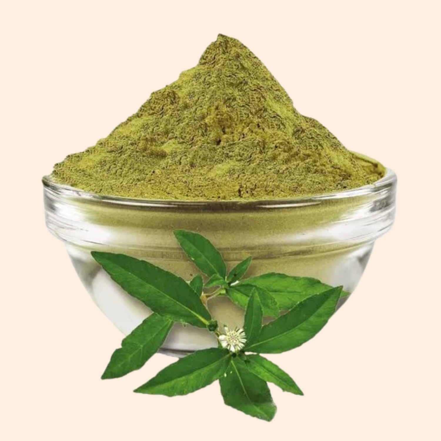 Shoprythm Fruit & Vegetable Powders Bhringraj Powder