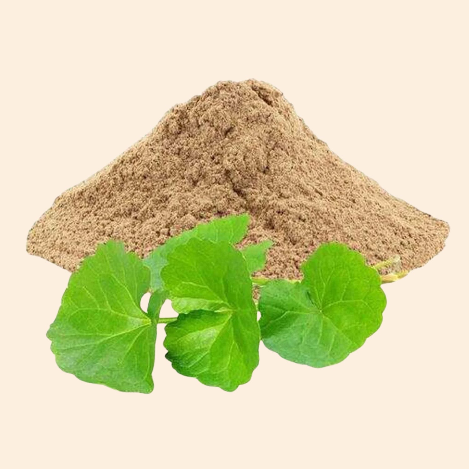 Shoprythm Fruit & Vegetable Powders Brahmi Powder