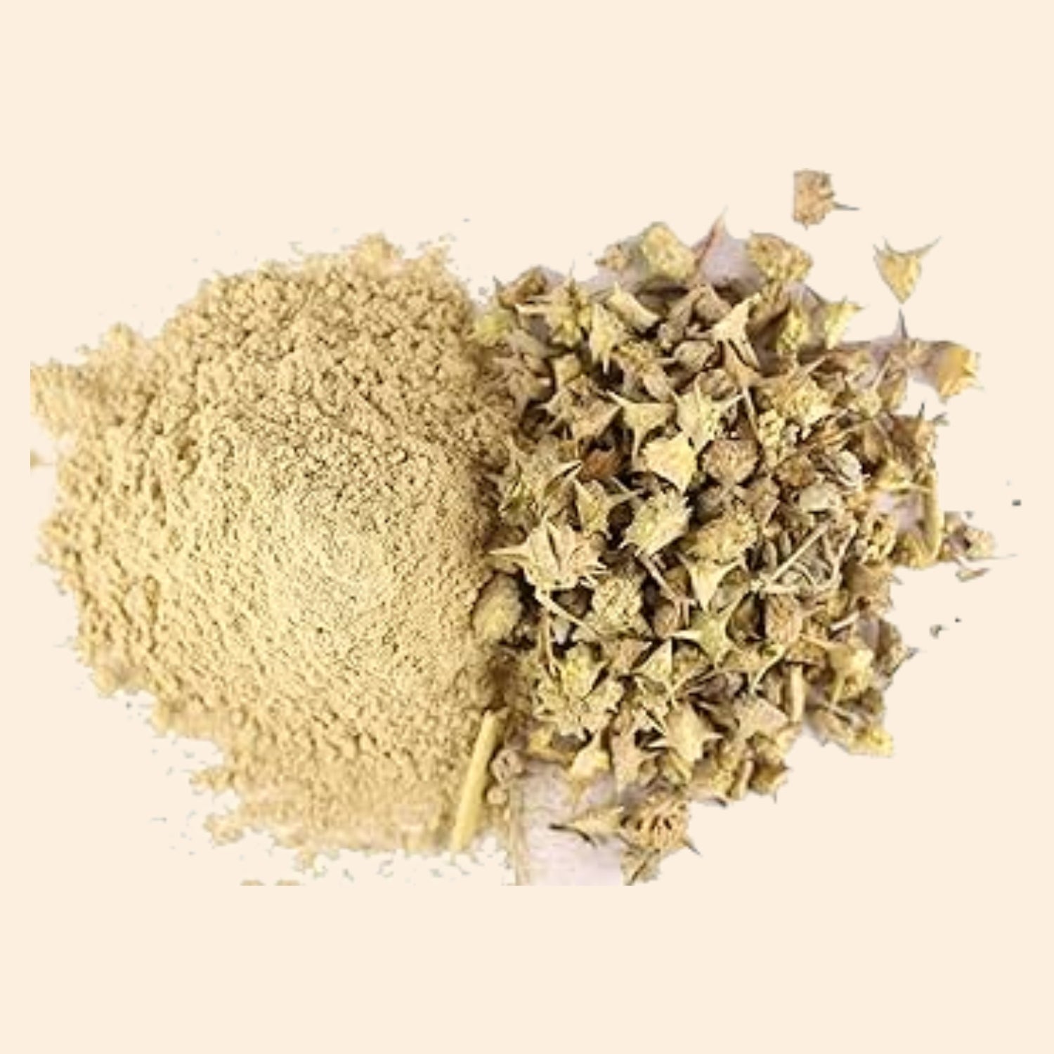 Shoprythm Fruit & Vegetable Powders Gokhru Powder