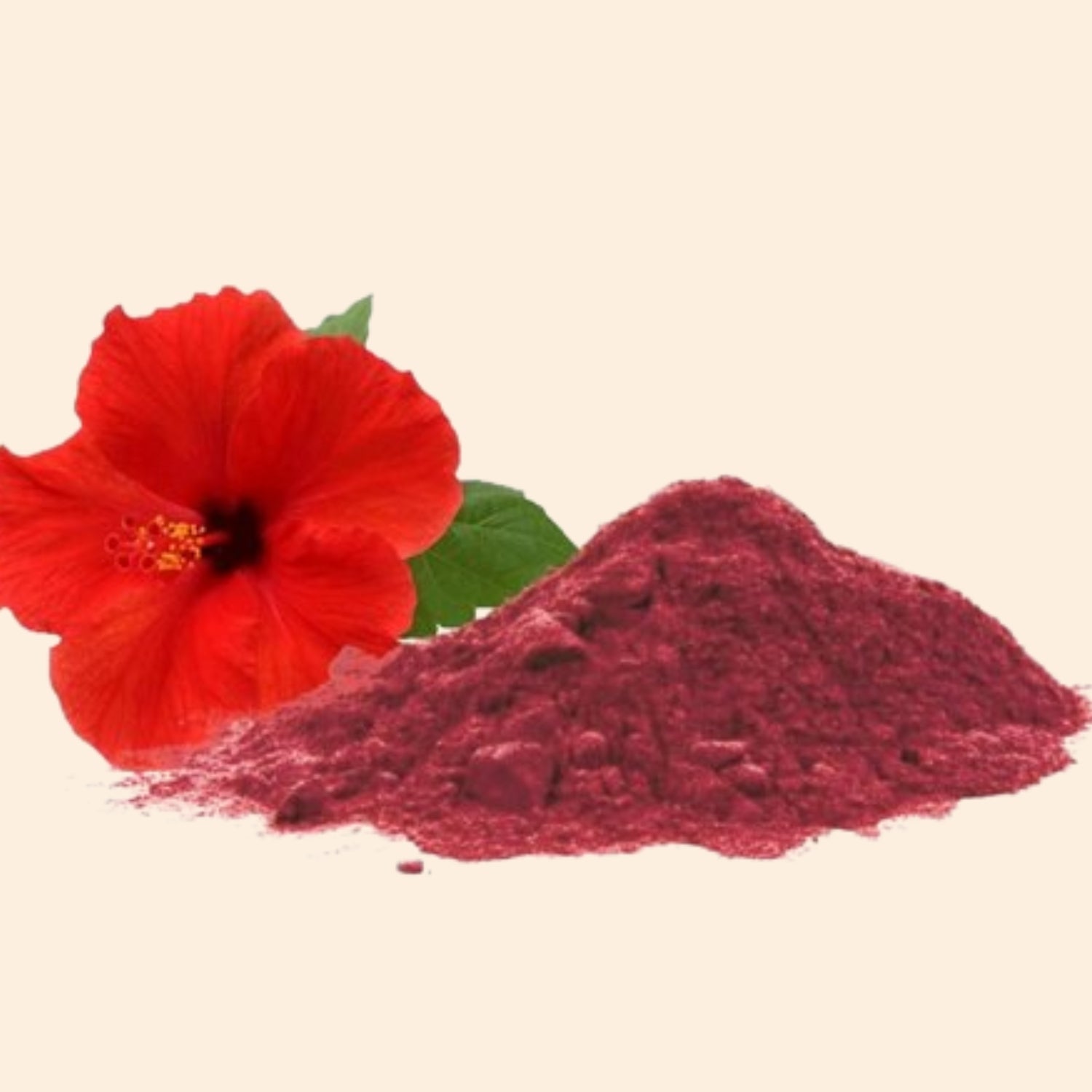 Shoprythm Fruit & Vegetable Powders Hibiscus Powder