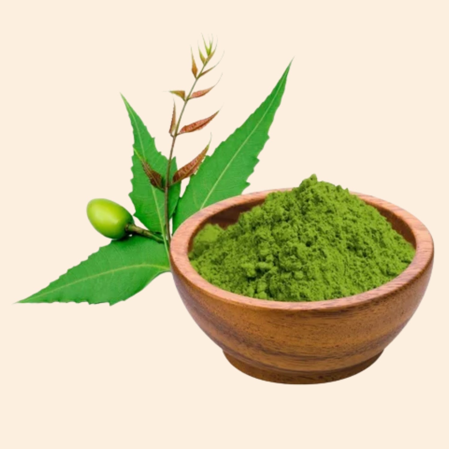 Shoprythm Fruit & Vegetable Powders Neem Powder