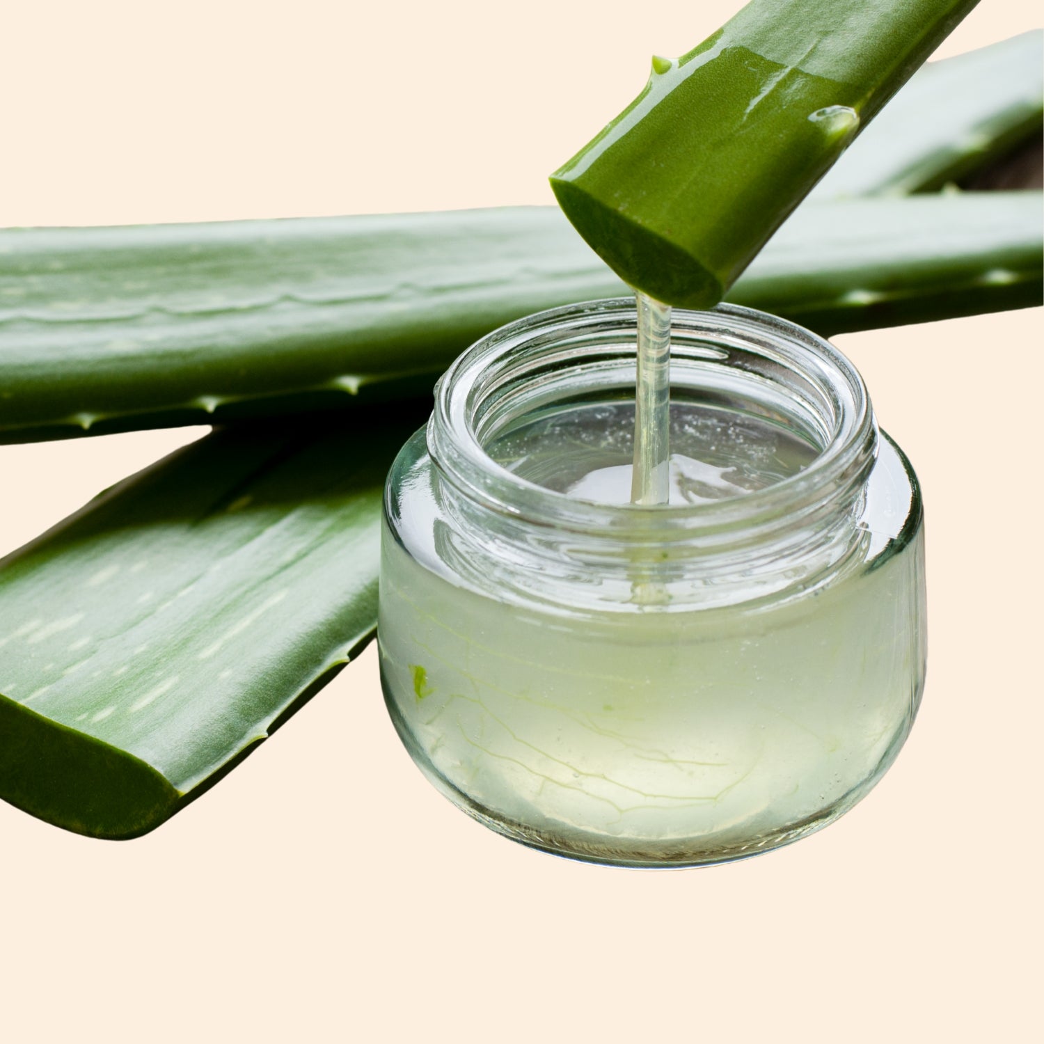 Shoprythm Herbal Liquid Extract Aloe vera Herbal liquid Extract