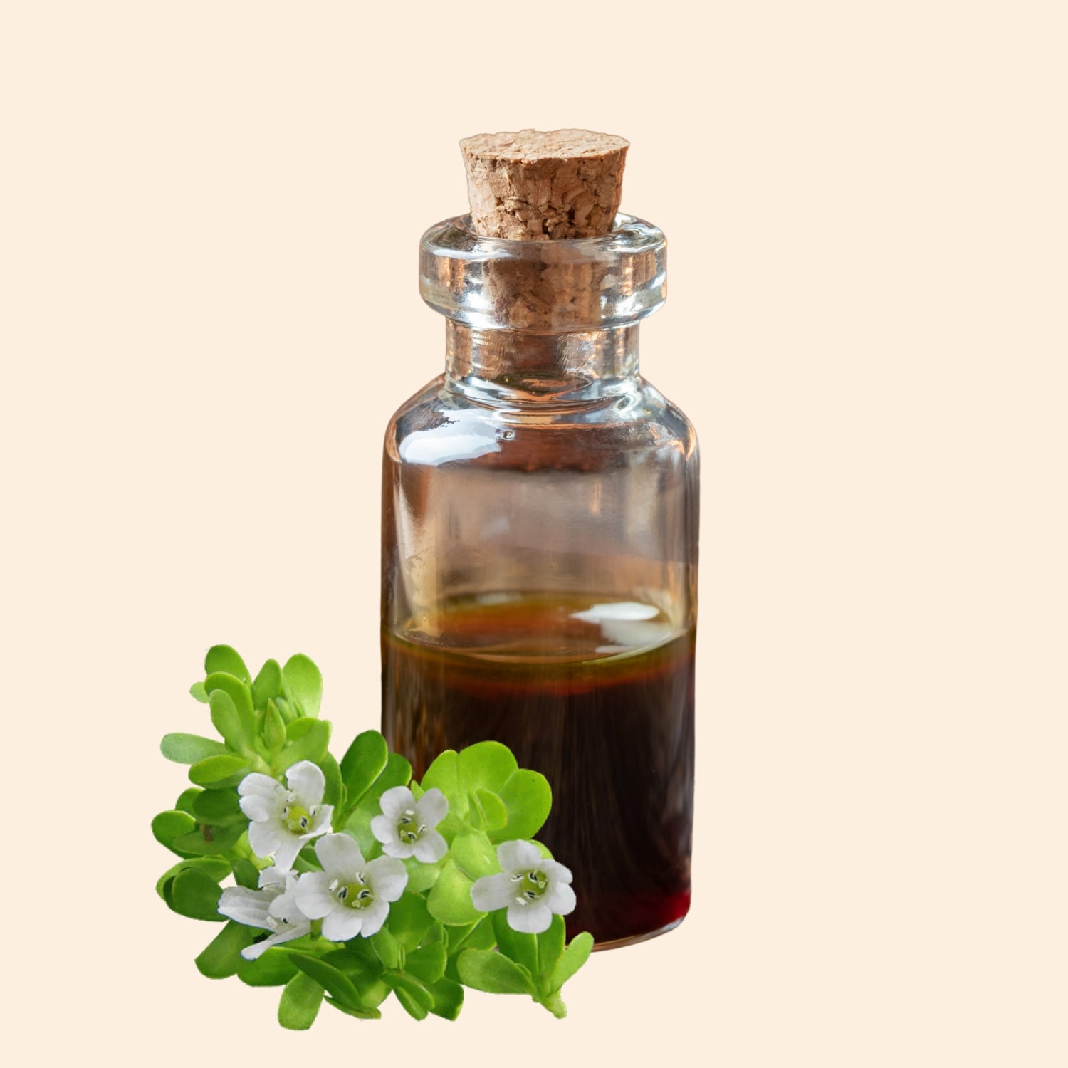 Shoprythm Herbal Liquid Extract Bacopa Monneri Herbal Liquid Extract