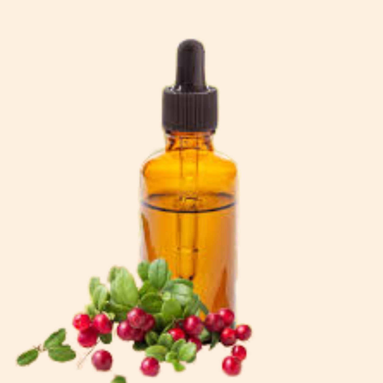 Shoprythm Herbal Liquid Extract Bear Berry Herbal liquid Extract