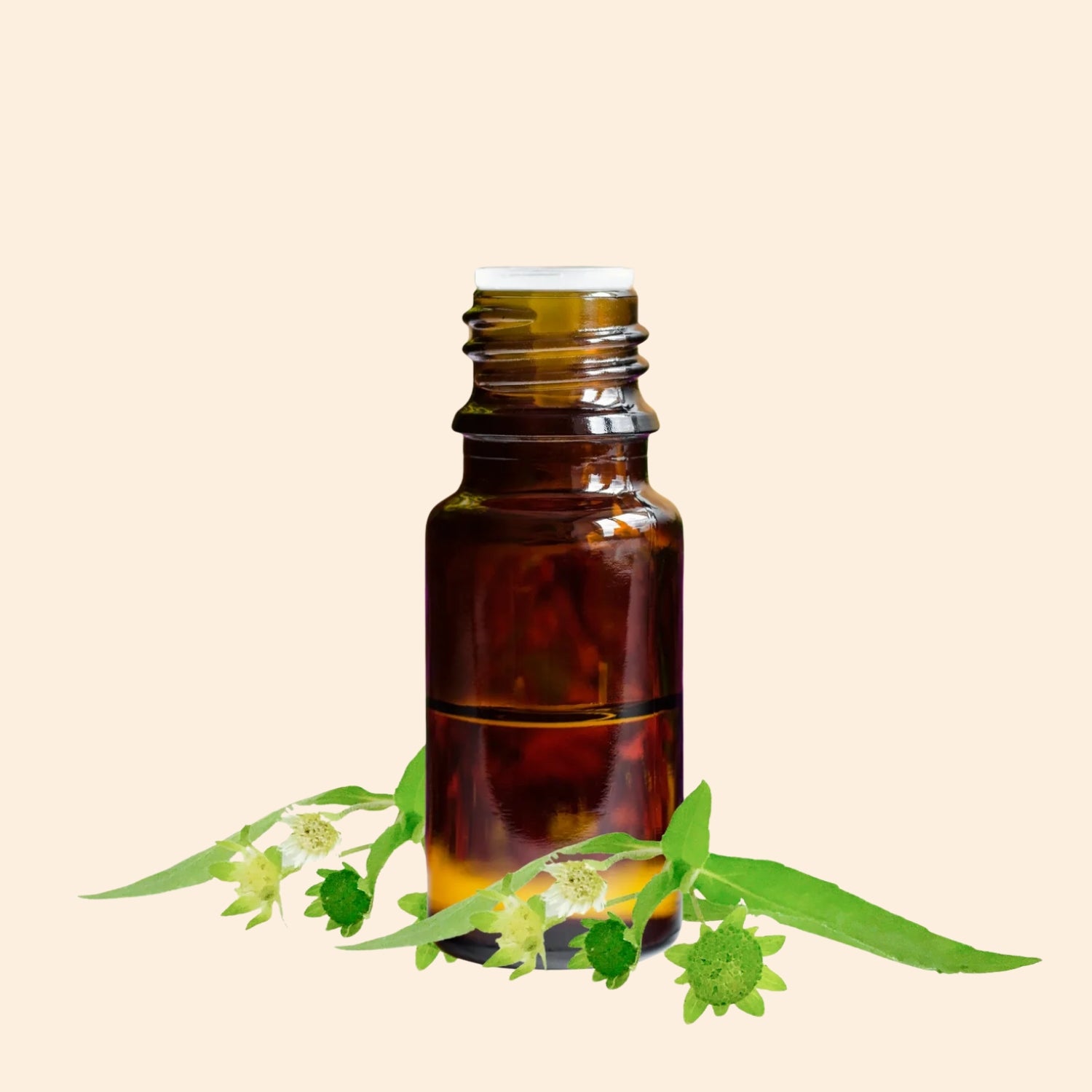 Shoprythm Herbal Liquid Extract Bhringraj  Herbal liquid Extract