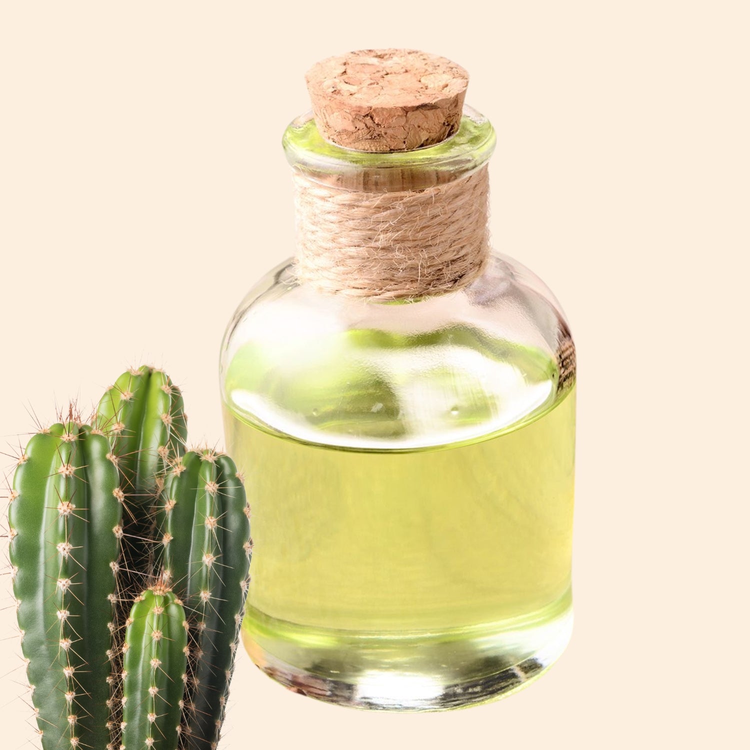 Shoprythm Herbal Liquid Extract Cactus Herbal Liquid Extract