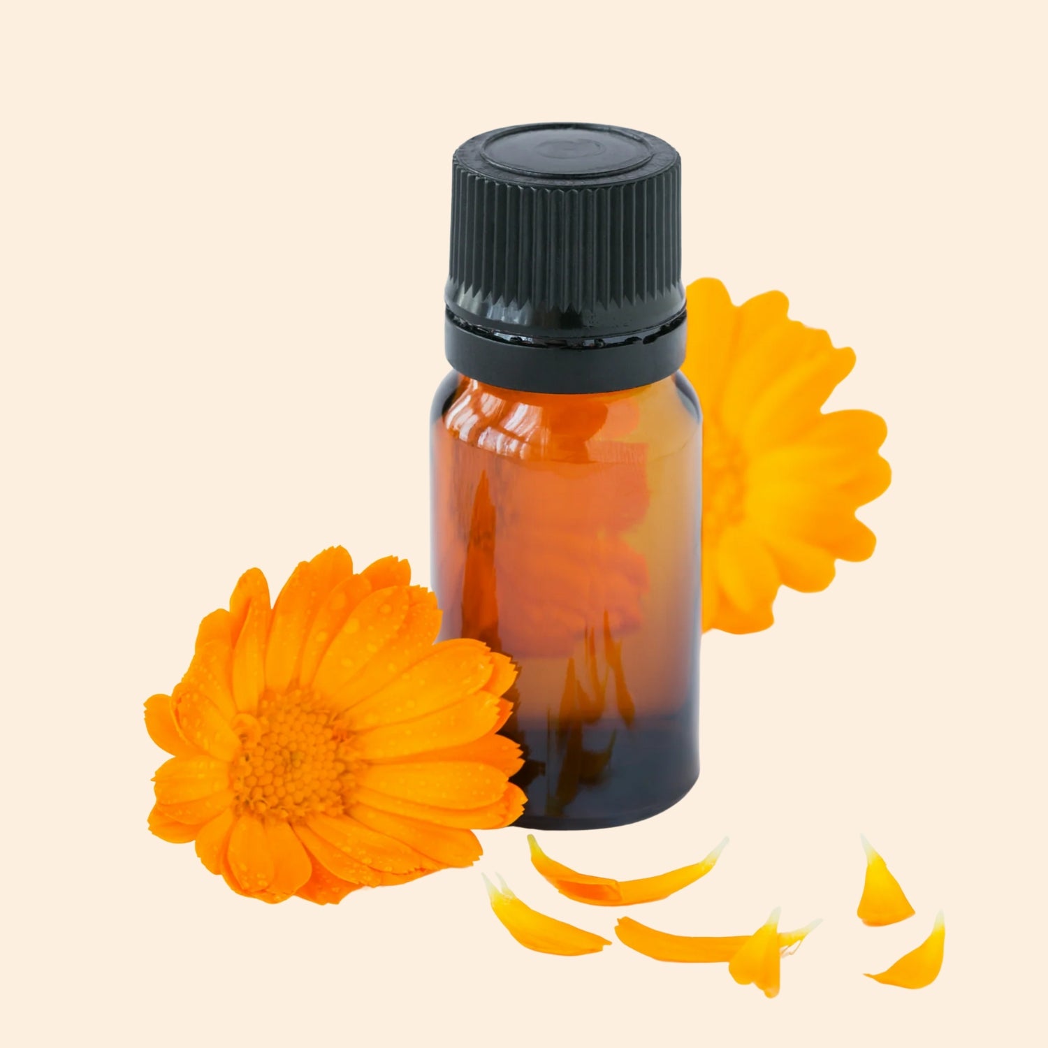 Shoprythm Herbal Liquid Extract Calendula Herbal Liquid Extract