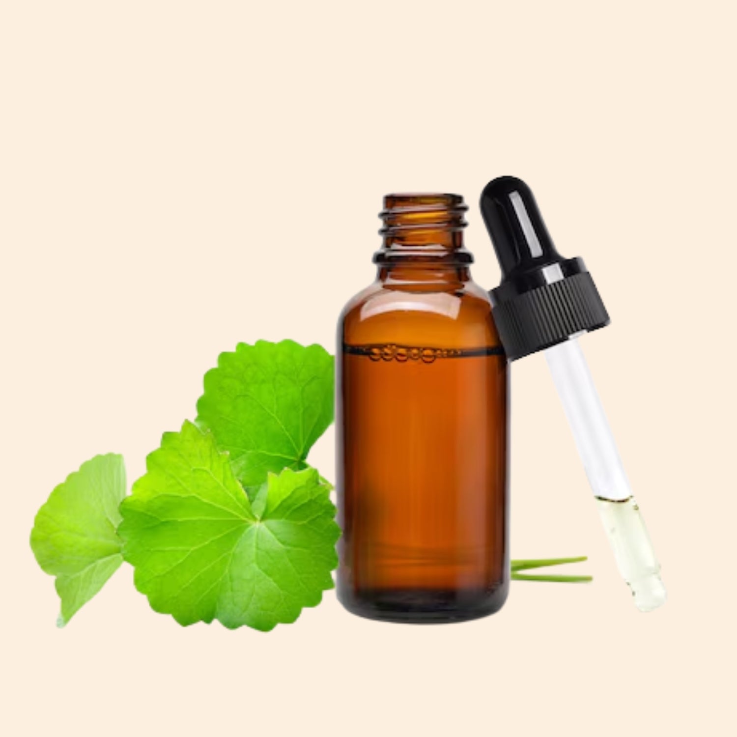 Shoprythm Herbal Liquid Extract Gotu Kola Herbal Liquid Extract