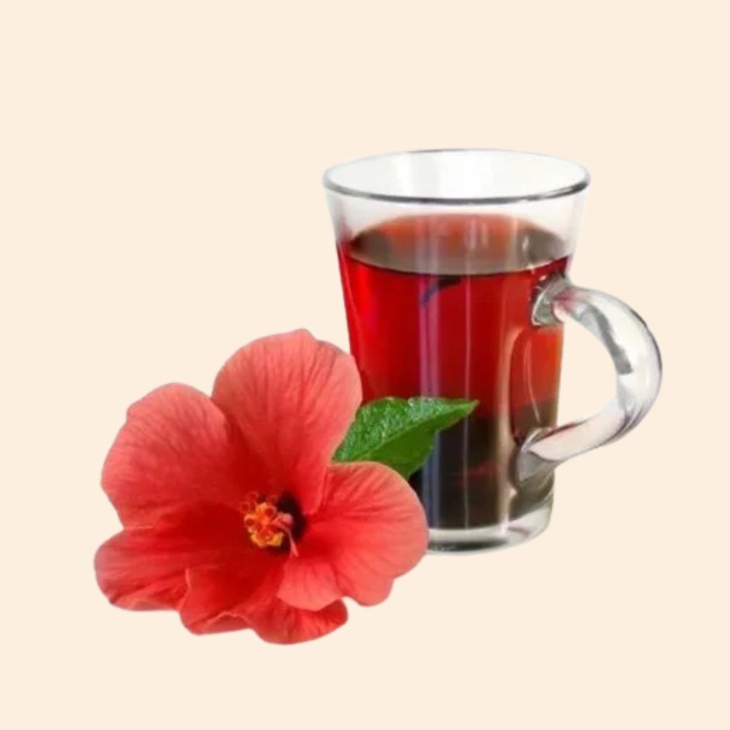 Shoprythm Herbal Liquid Extract Hibiscus Herbal Liquid Extract
