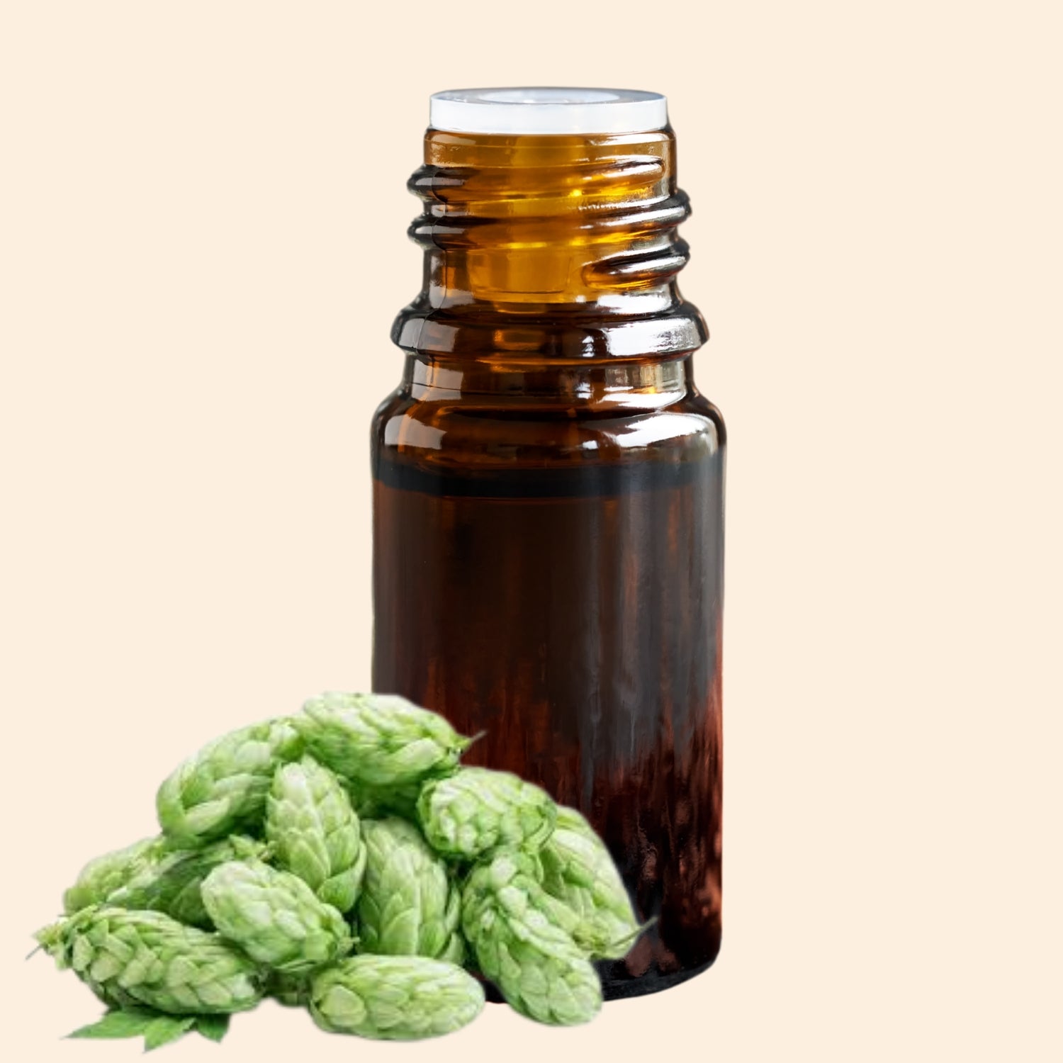 Shoprythm Herbal Liquid Extract Hops Herbal Liquid Extract