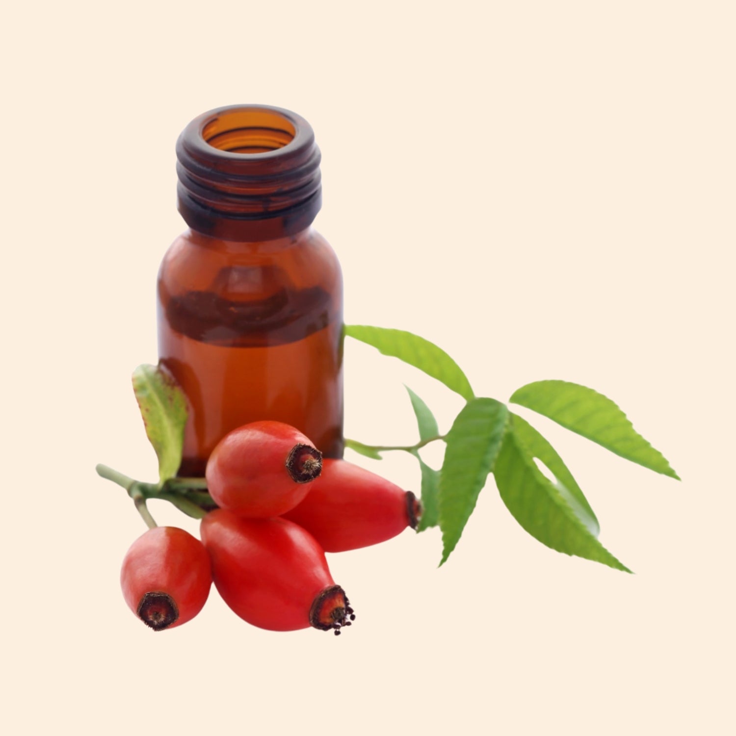 Shoprythm Herbal Liquid Extract Rosehip Herbal Liquid Extract