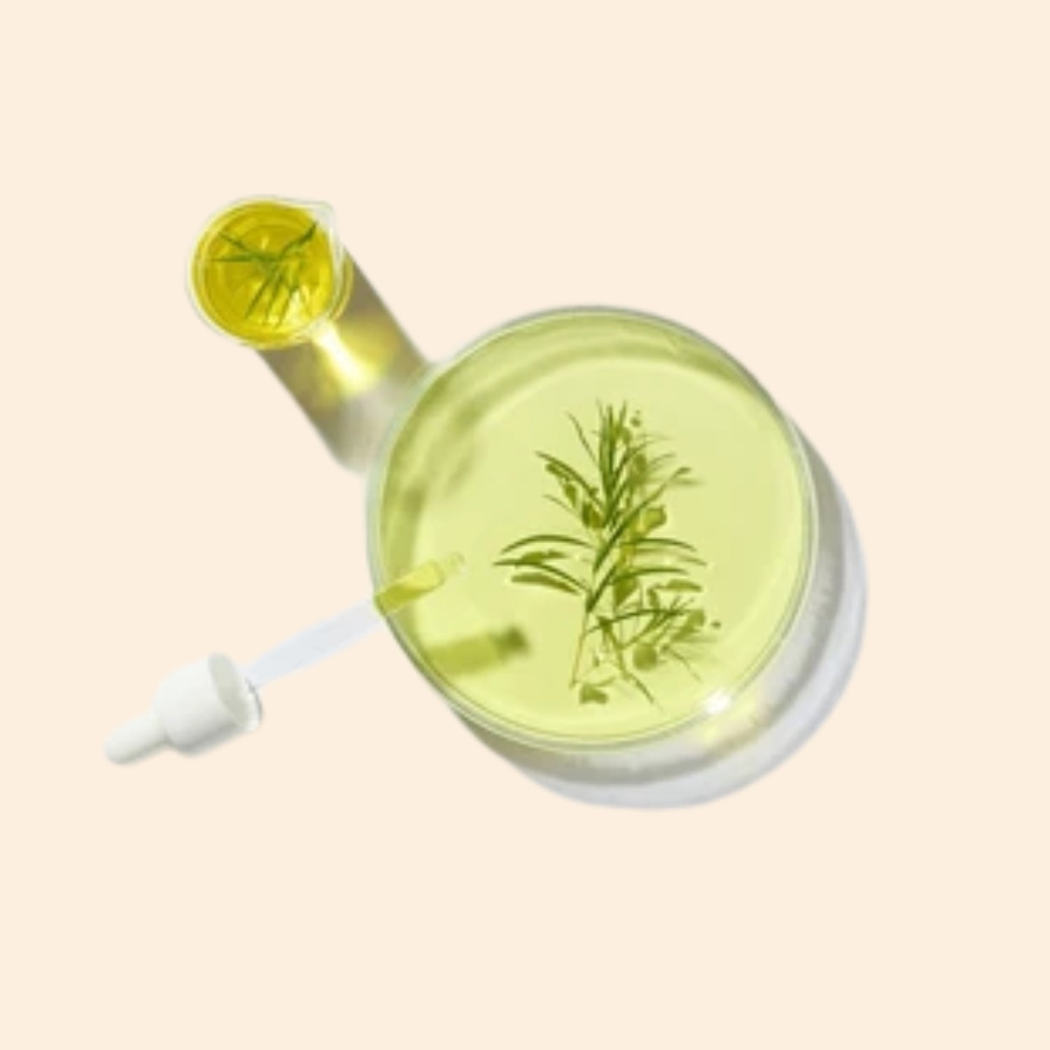 Shoprythm Herbal Liquid Extract Tea Herbal Liquid Extract