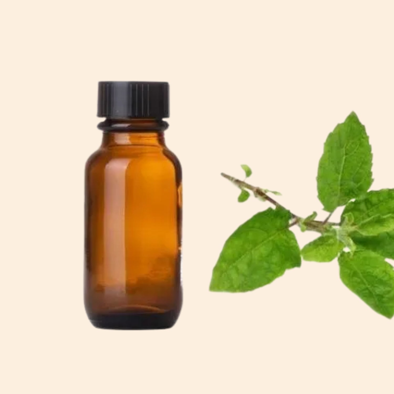 Shoprythm Herbal Liquid Extract Tulsi Herbal Liquid Extract