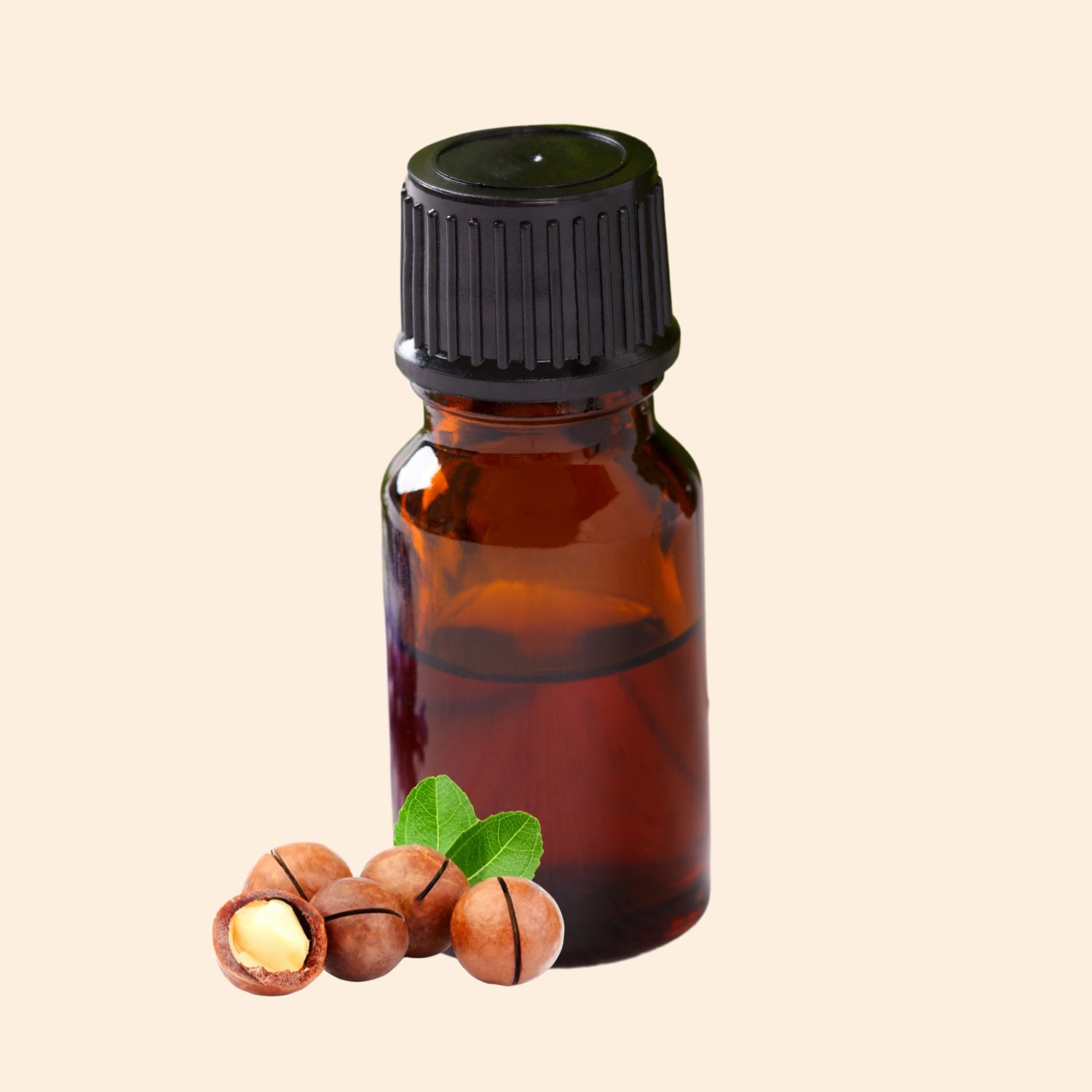 Shoprythm Hydrosols Macadamia Hydrosol