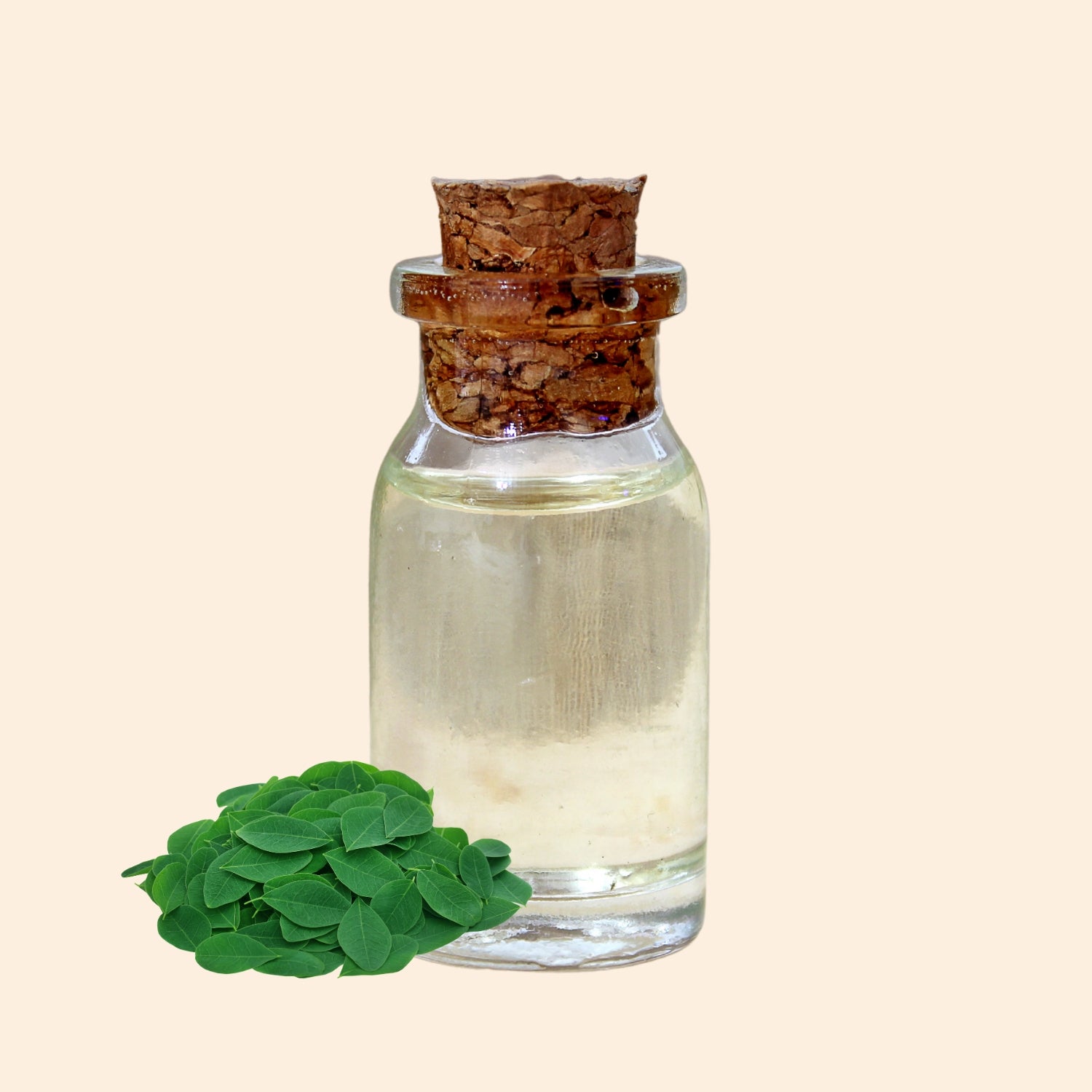 Shoprythm Hydrosols Moringa Hydrosol