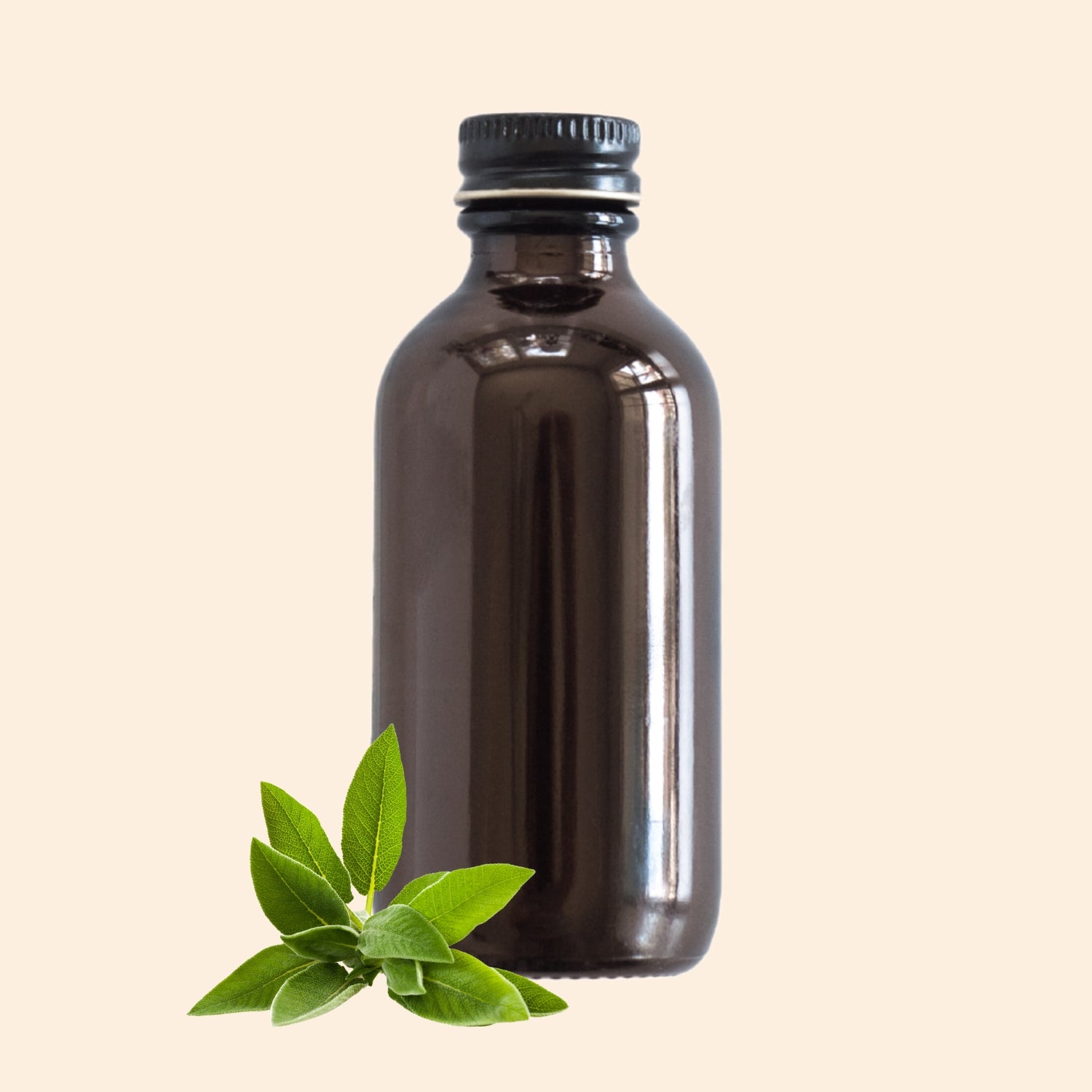 Shoprythm Hydrosols Sage Hydrosol