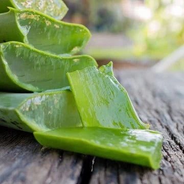 Shoprythm Natural Cosmetic Ingredients Aloe Foam