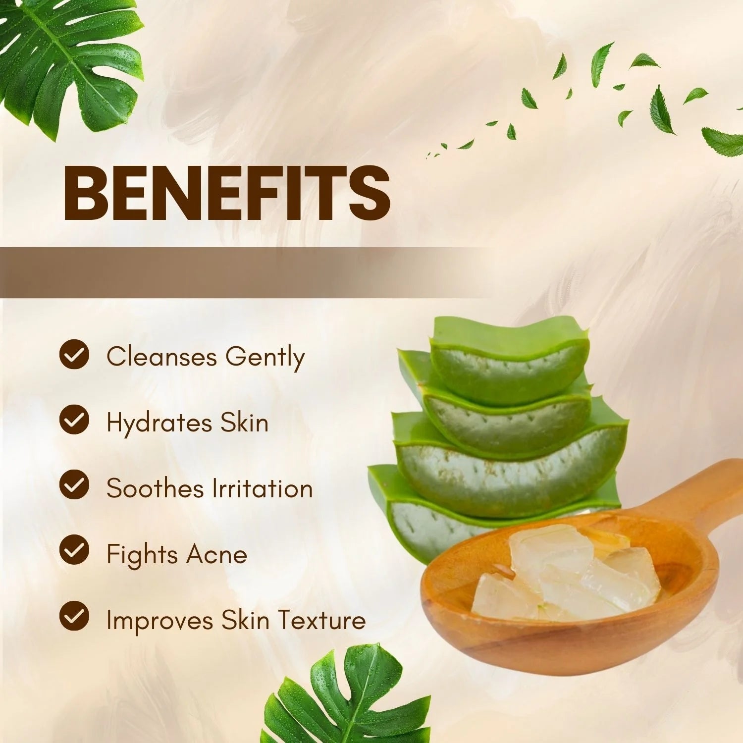 Shoprythm Natural Cosmetic Ingredients Aloe Foam