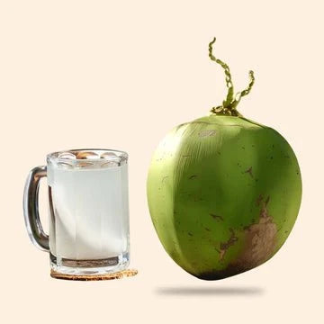 Shoprythm Natural Cosmetic Ingredients Coconut Water