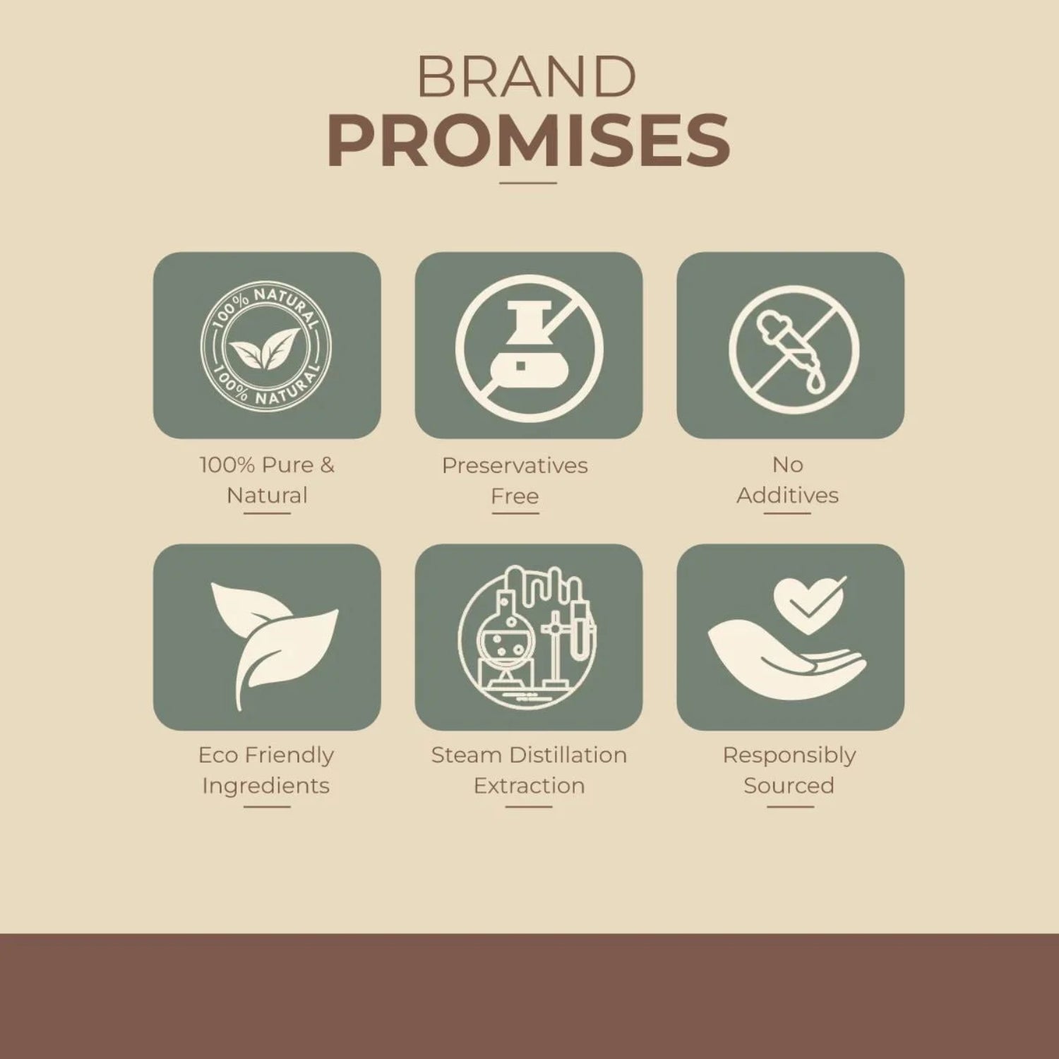 shoprythmindia Free Samples Allspice Oil Sample