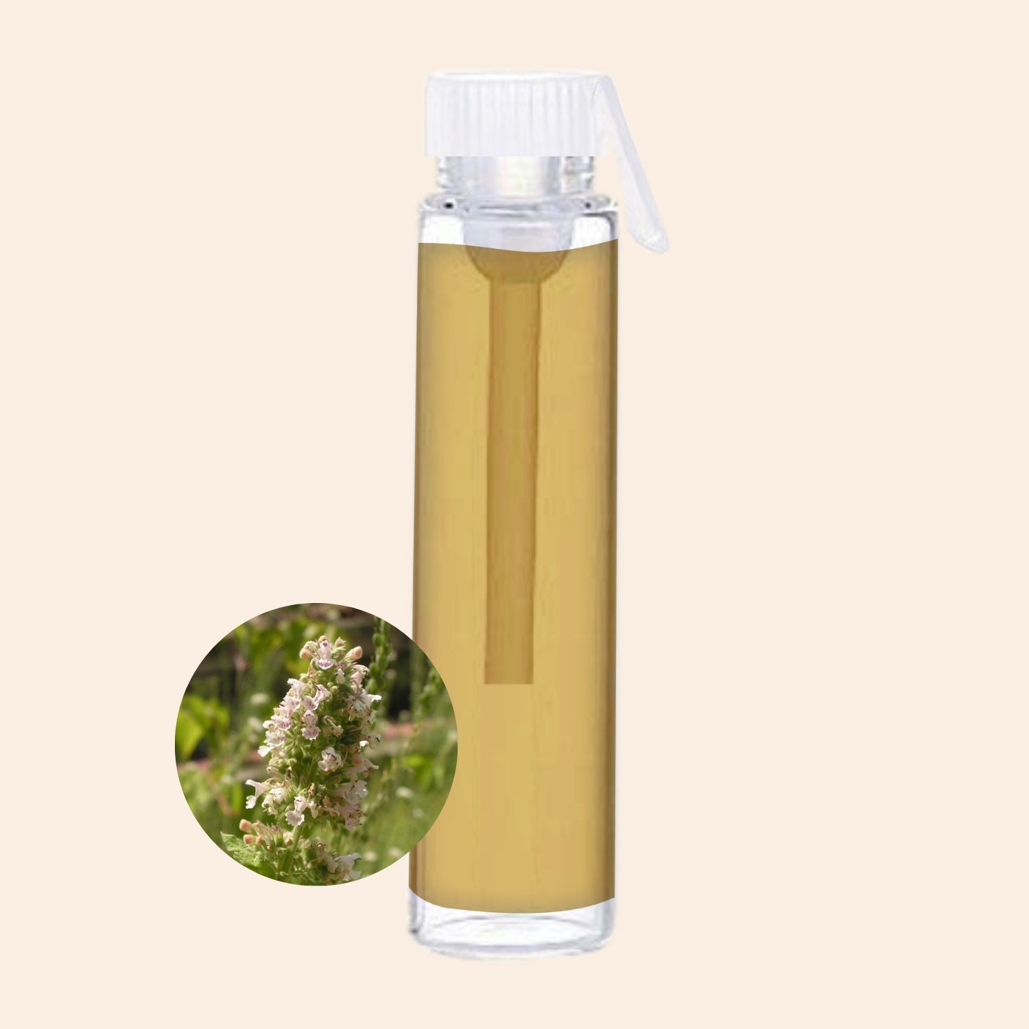 shoprythmindia Free Samples Catnip Oil