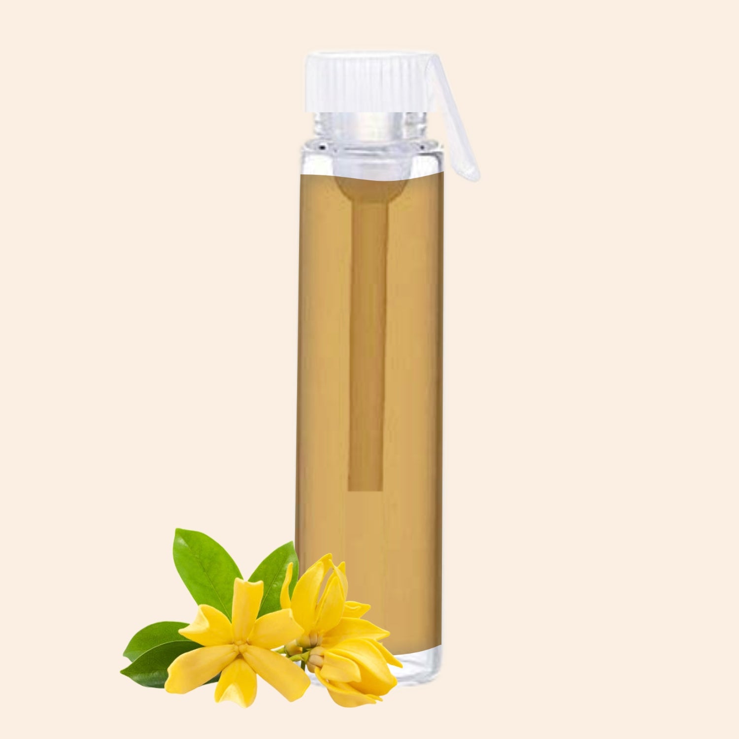 shoprythmindia Free Samples Champaca Oil