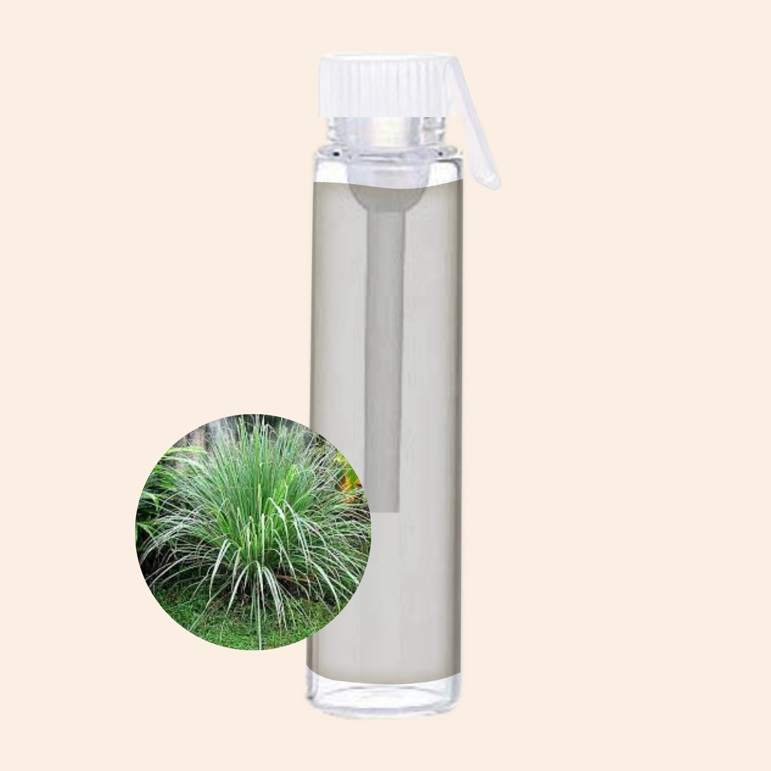 shoprythmindia Free Samples Citronella Oil