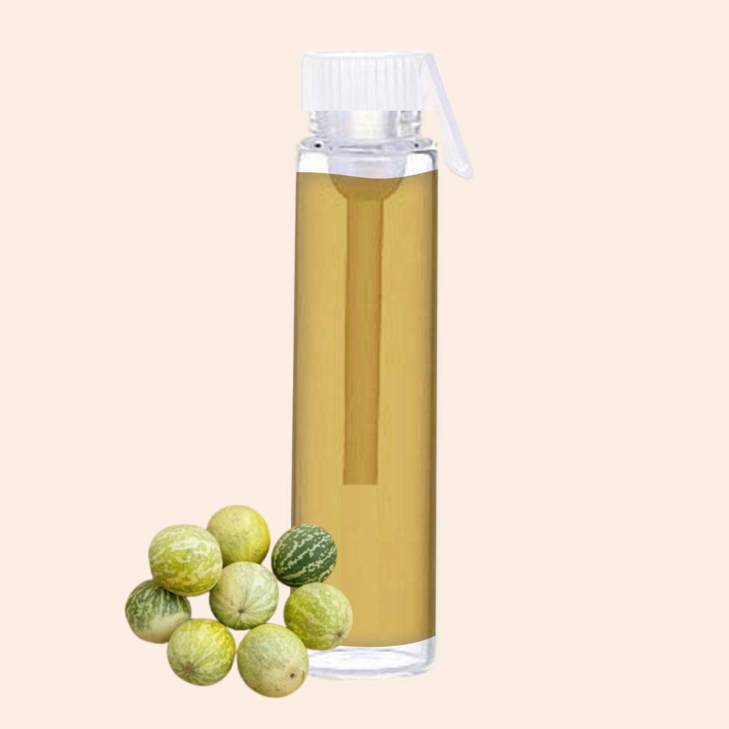 shoprythmindia Free Samples Colocynth Oil
