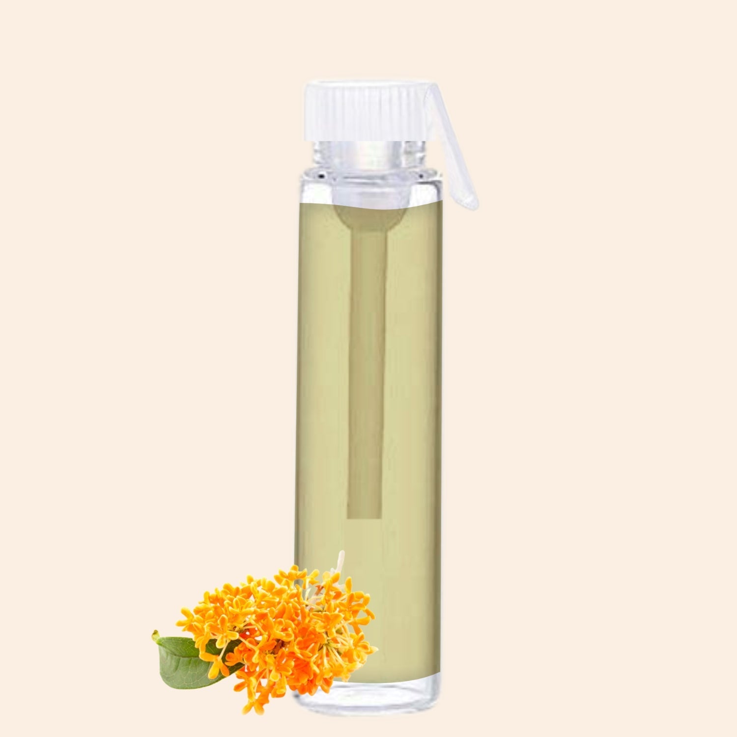 shoprythmindia Free Samples Osmanthus Oil