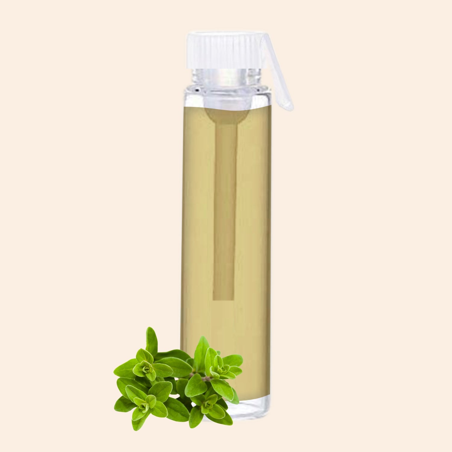 shoprythmindia Free Samples Sweet Marjoram Oil