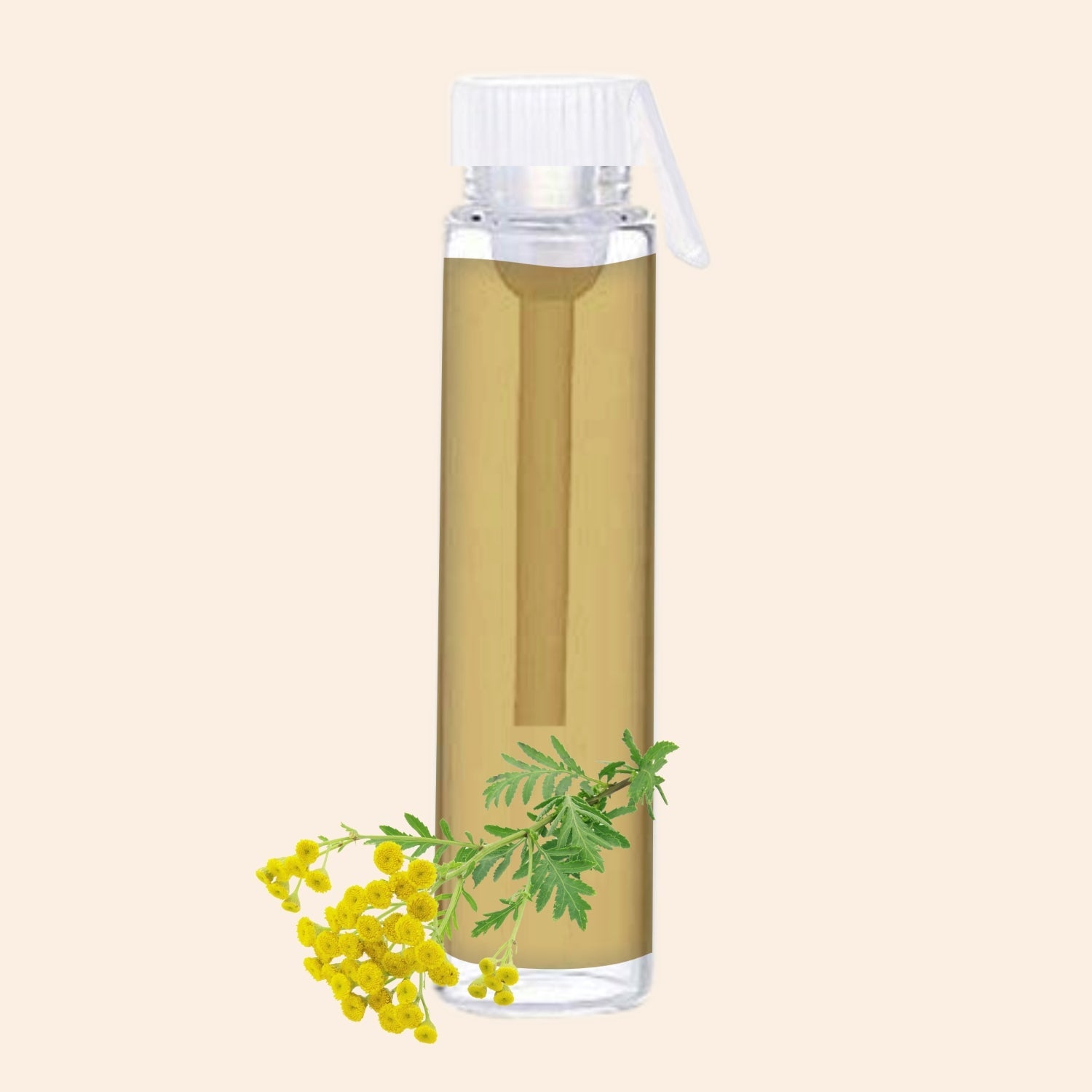 shoprythmindia Free Samples Tansy Oil