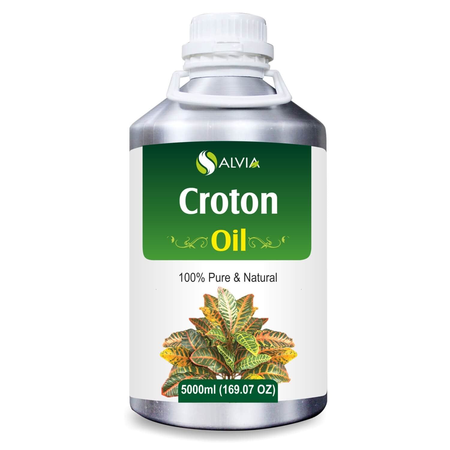 Salvia Natural Essential Oils 5000ml Croton Oil (Codiaeum variegatum) 100% Natural Pure Essential Oil Exfoliates Skin, Reduces Fine Lines, Wrinkles And Scars, Relieves Joint Pain