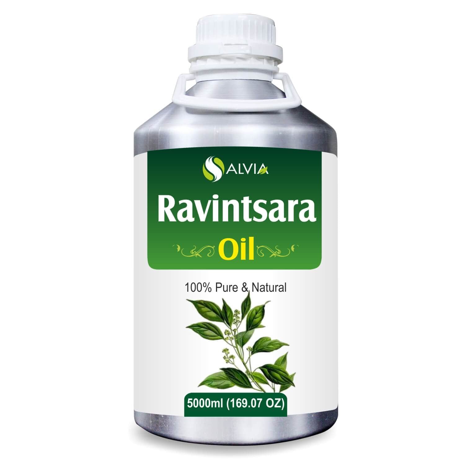 Salvia Natural Essential Oils 5000ml Ravintsara Oil (Cinnamomum Camphora) 100% Natural Undiluted Essential Oil Releases Stress & Tension, Antiviral Properties, Aromatherapy, Relieve Cold & Cough