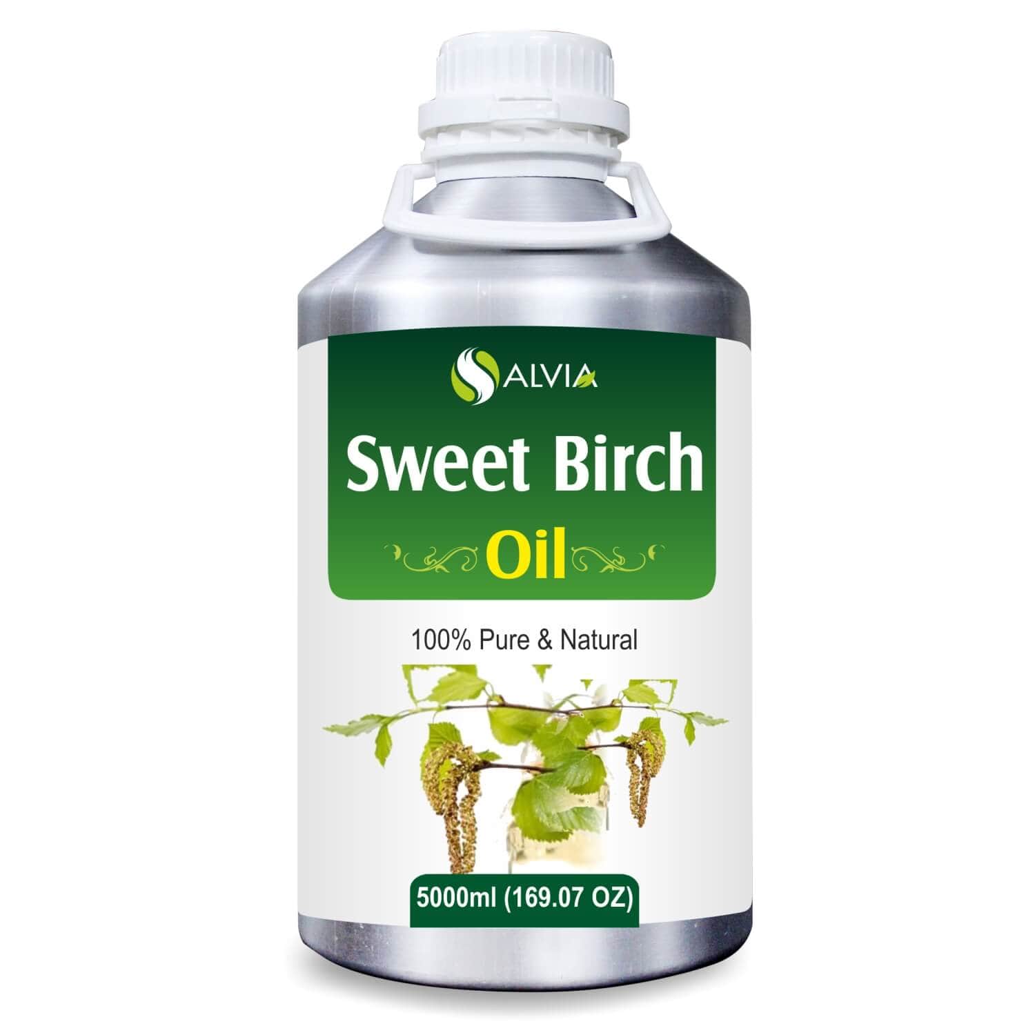 Salvia Natural Essential Oils 5000ml Sweet Birch Oil (Betula Lenta) 100% Natural Essential Oil Reduces Wrinkles & Sagging Skin, Tightens Skin, Pain-Relieving Effect, Uplifts Mood, Manages Cold & Congestion