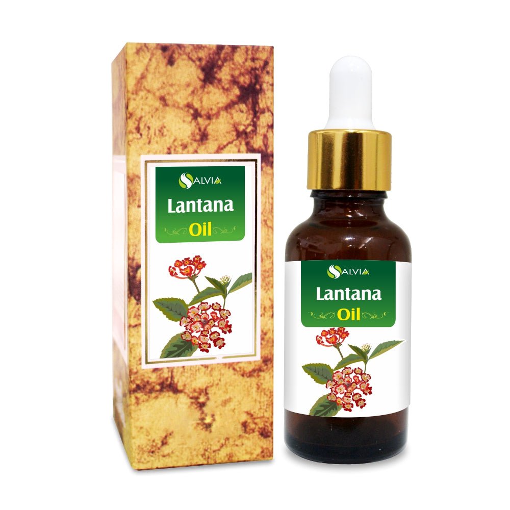 Salvia Natural Essential Oils Lantana Essential Oil