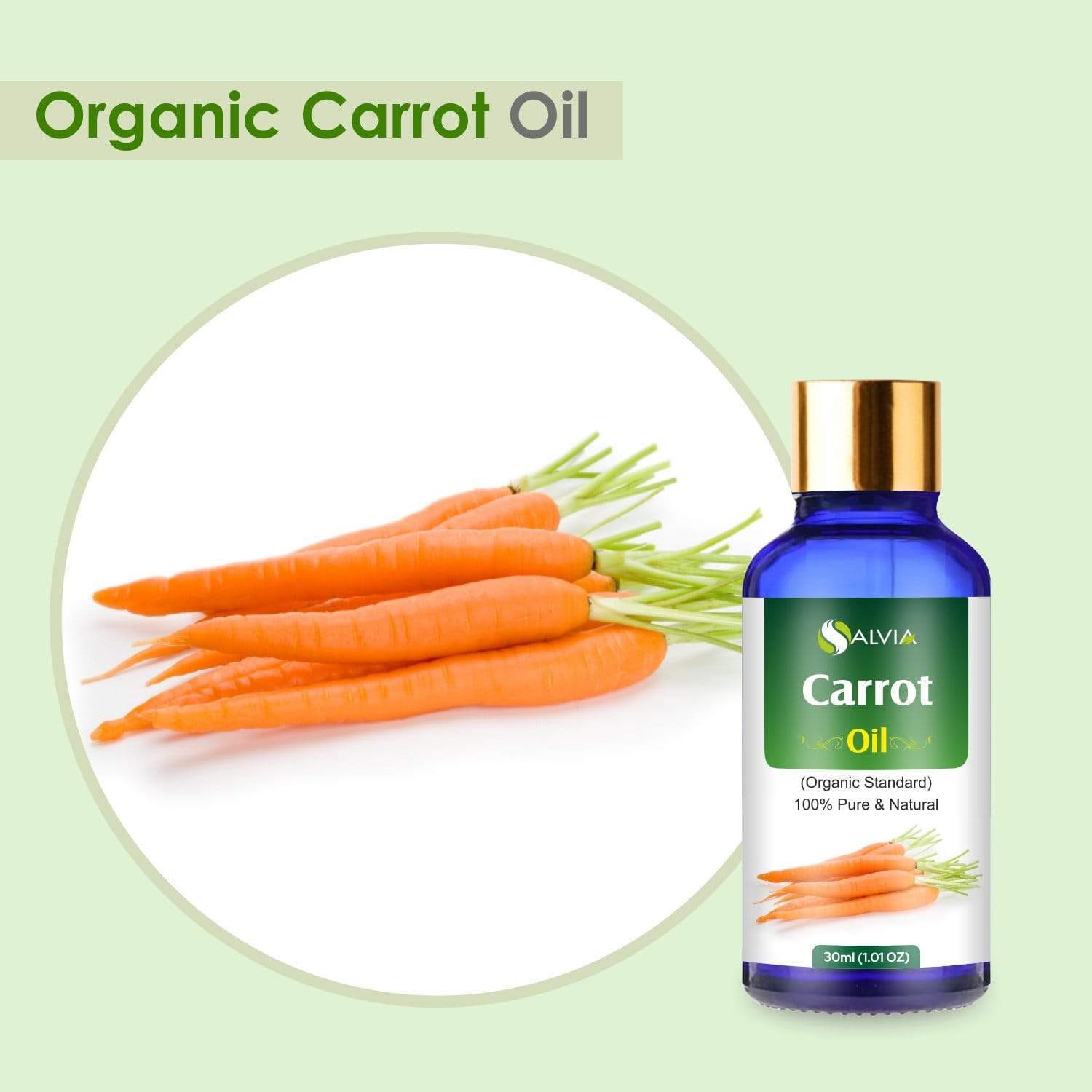Salvia Organic Essential Oils,Best Organic Essential Oils Organic Carrot Seed Oil