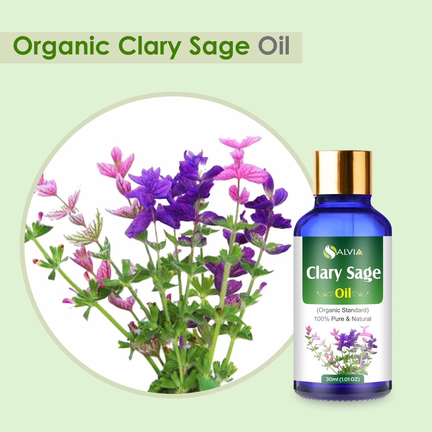 sage vs clary sage essential oil