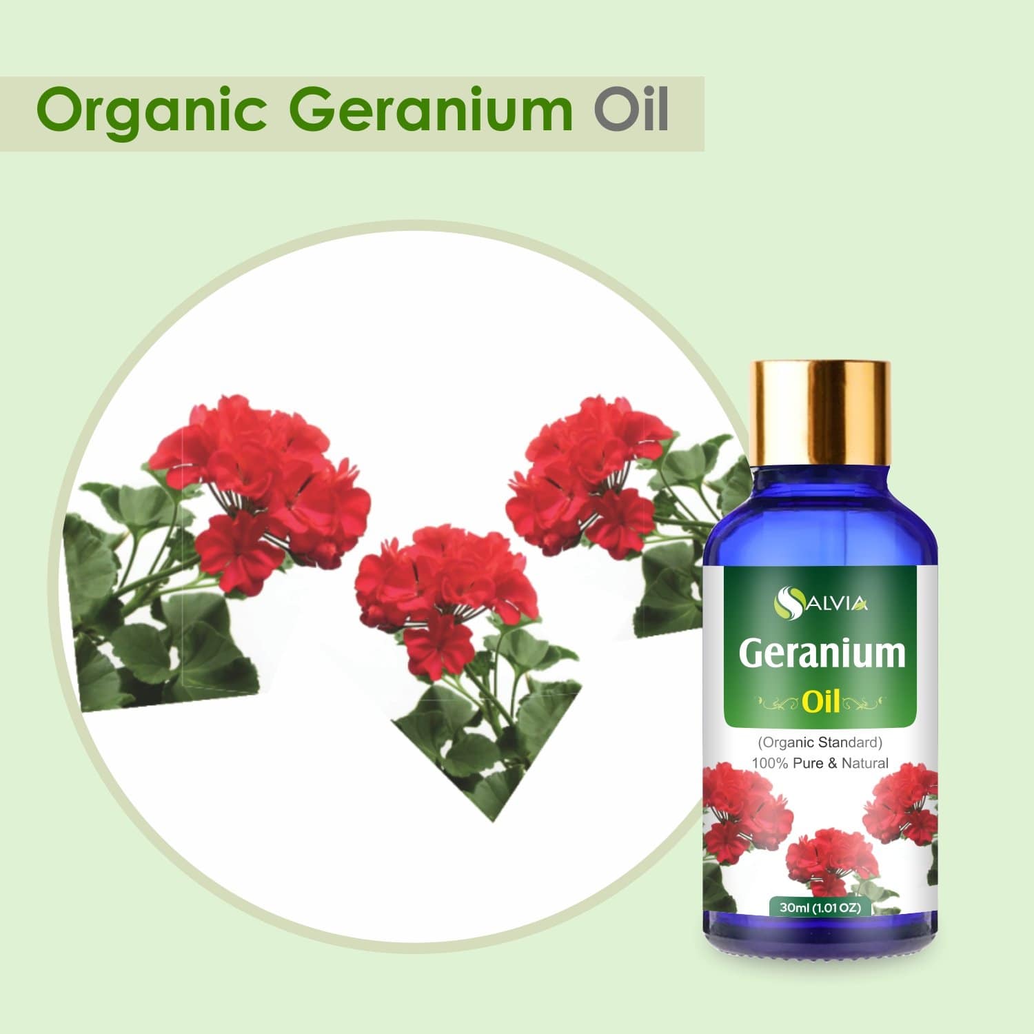 Organic Geranium Essential Oil benefits 