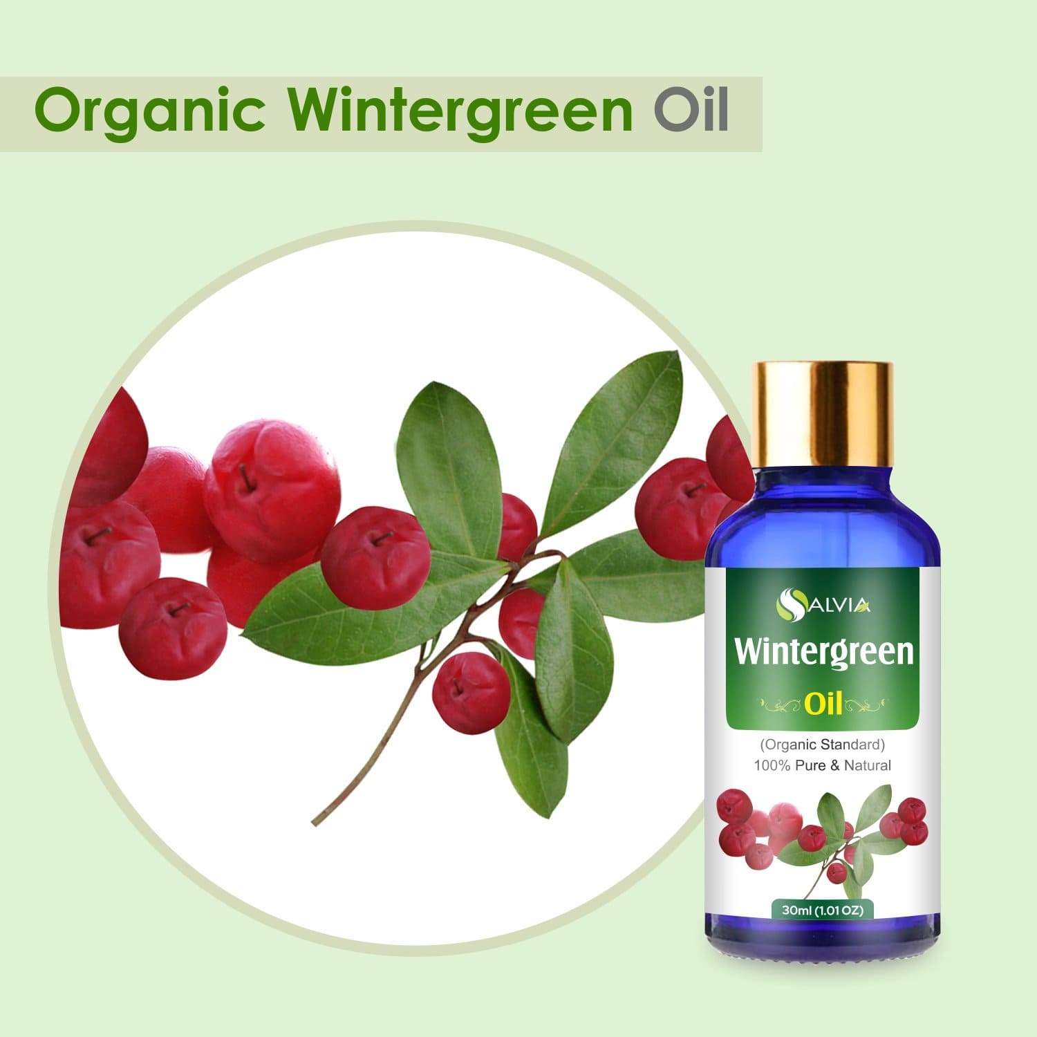 Organic Wintergreen Essential Oil benefits 